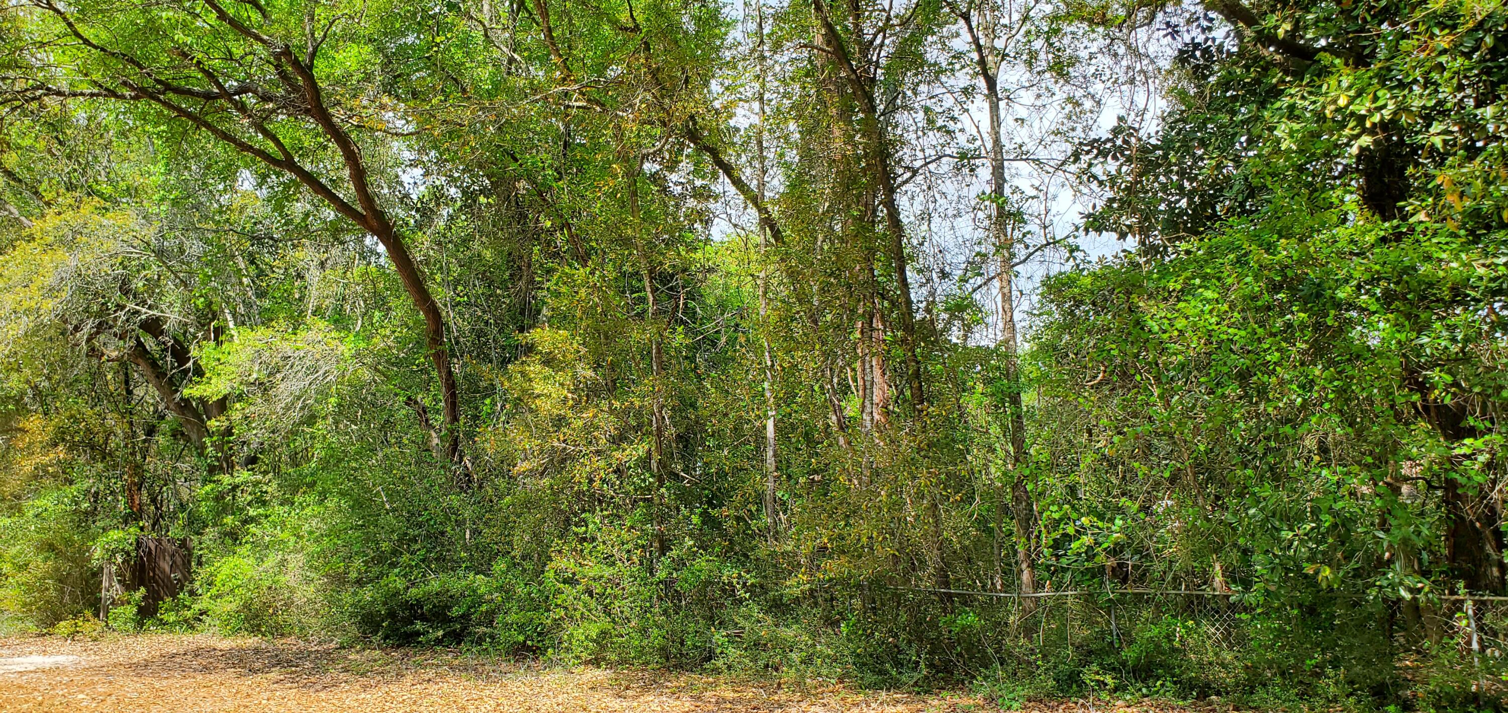 Lot 11 Live Oak Street Niceville FL 32578