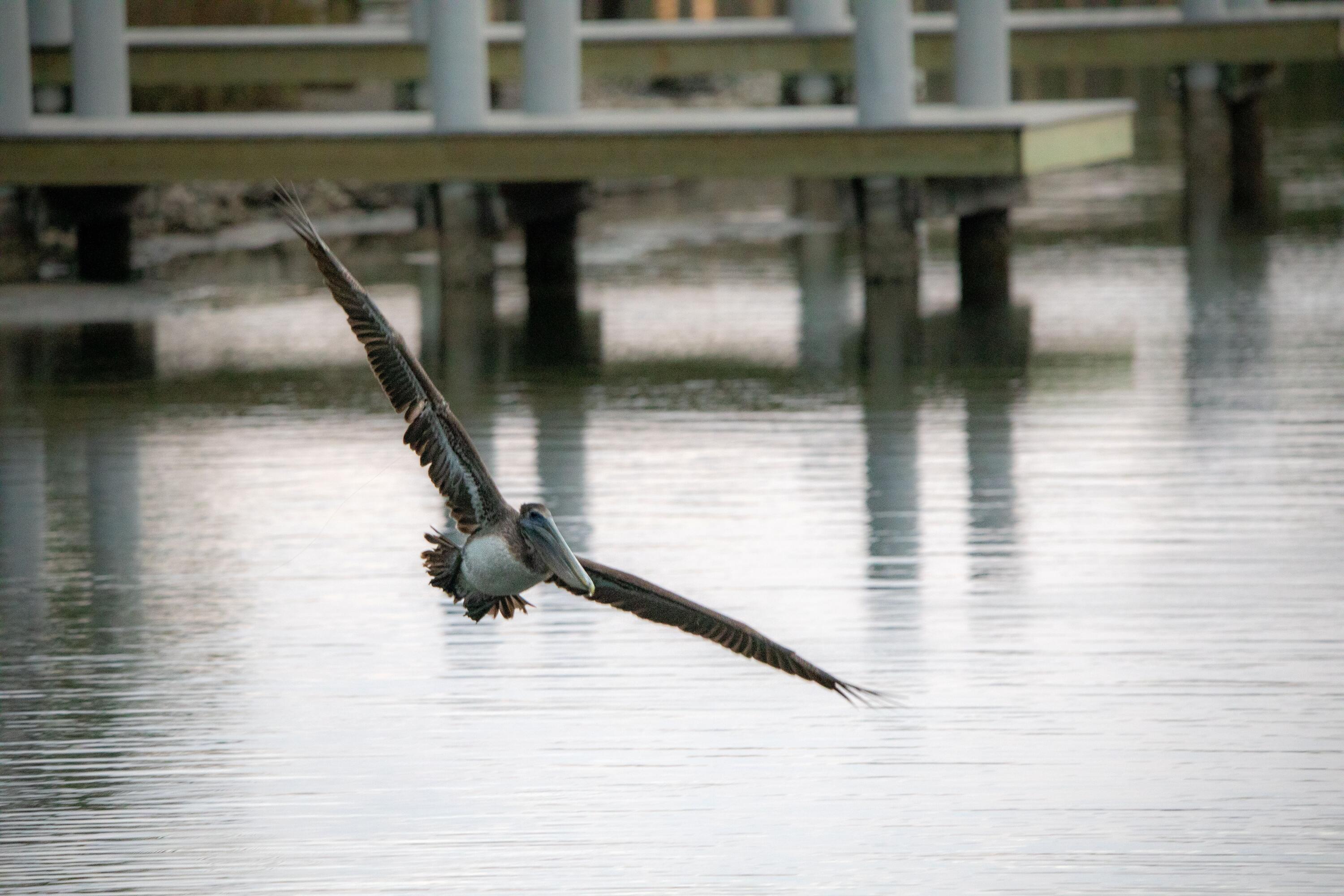 I-14 Mallard Lane Santa Rosa Beach FL 32459