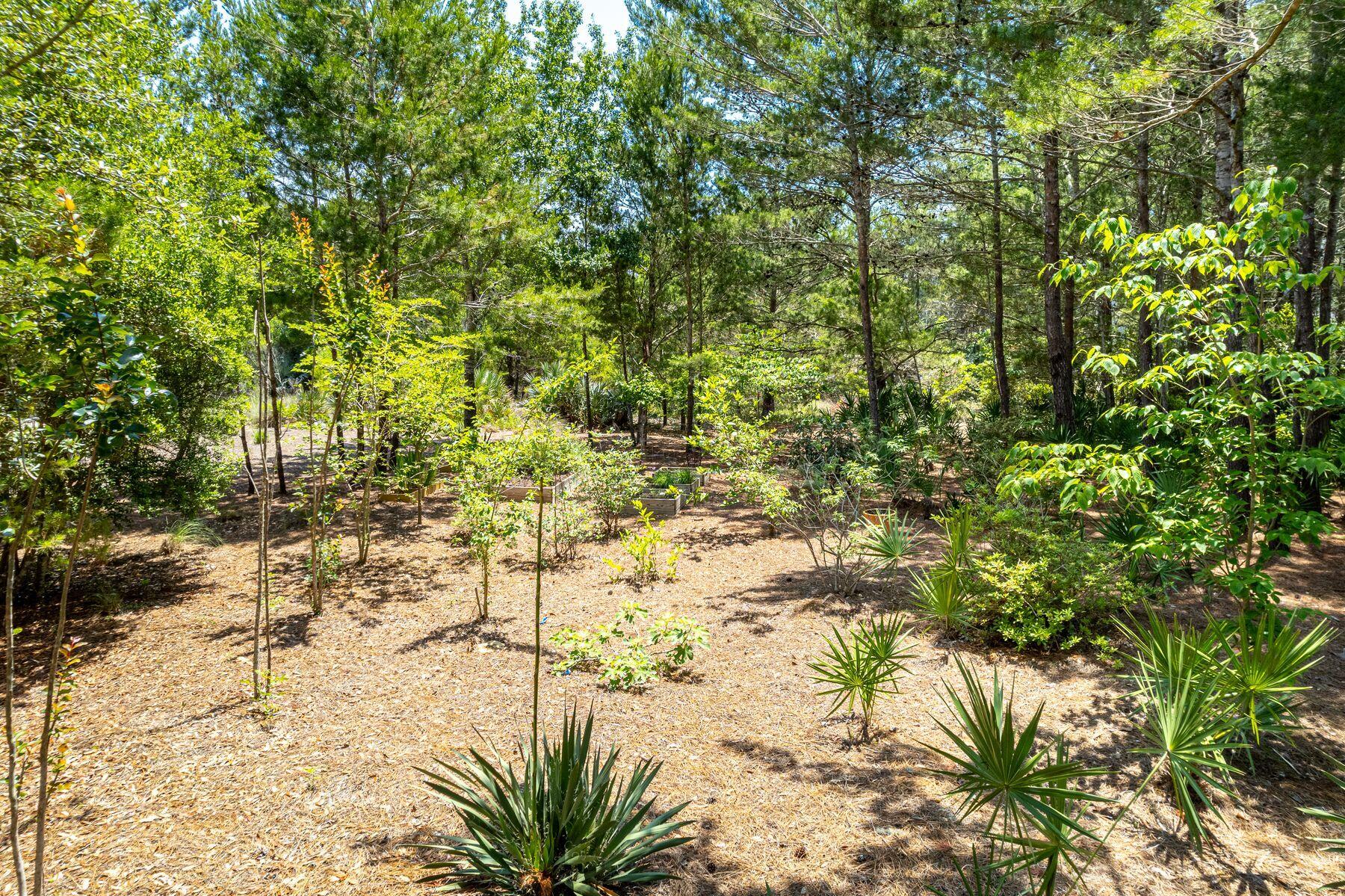 Lot 7 Shore Bridge Circle Watersound FL 32461