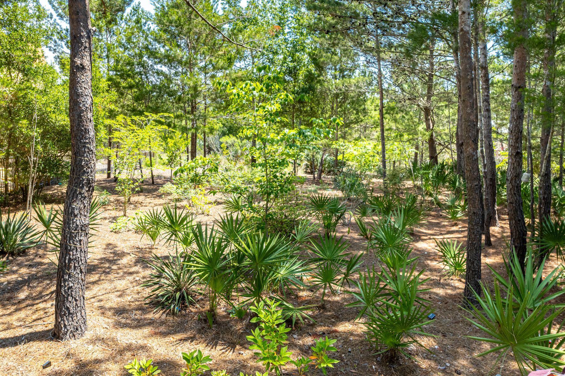 Lot 7 Shore Bridge Circle Watersound FL 32461