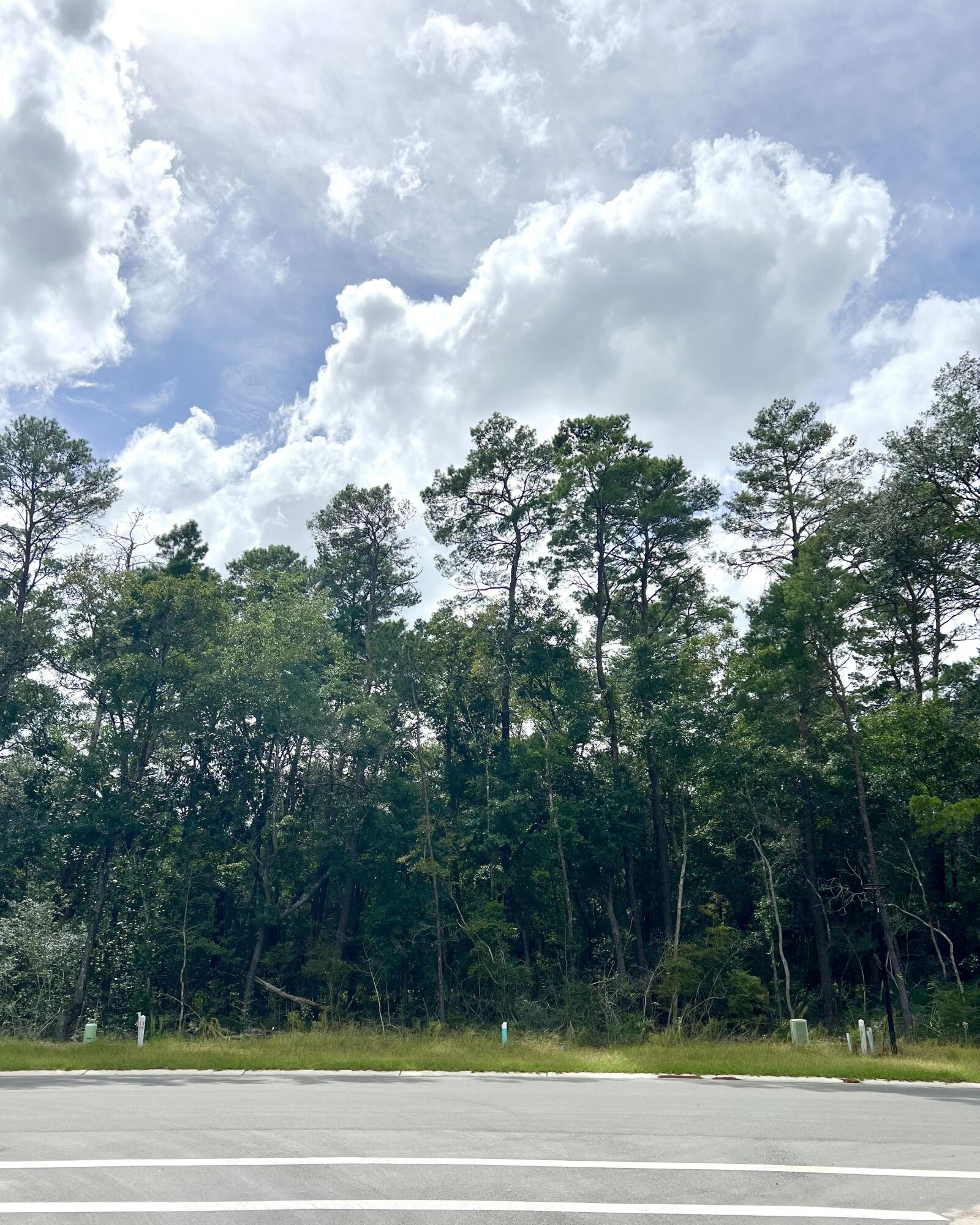 108 Tarragon Run Niceville FL 32578