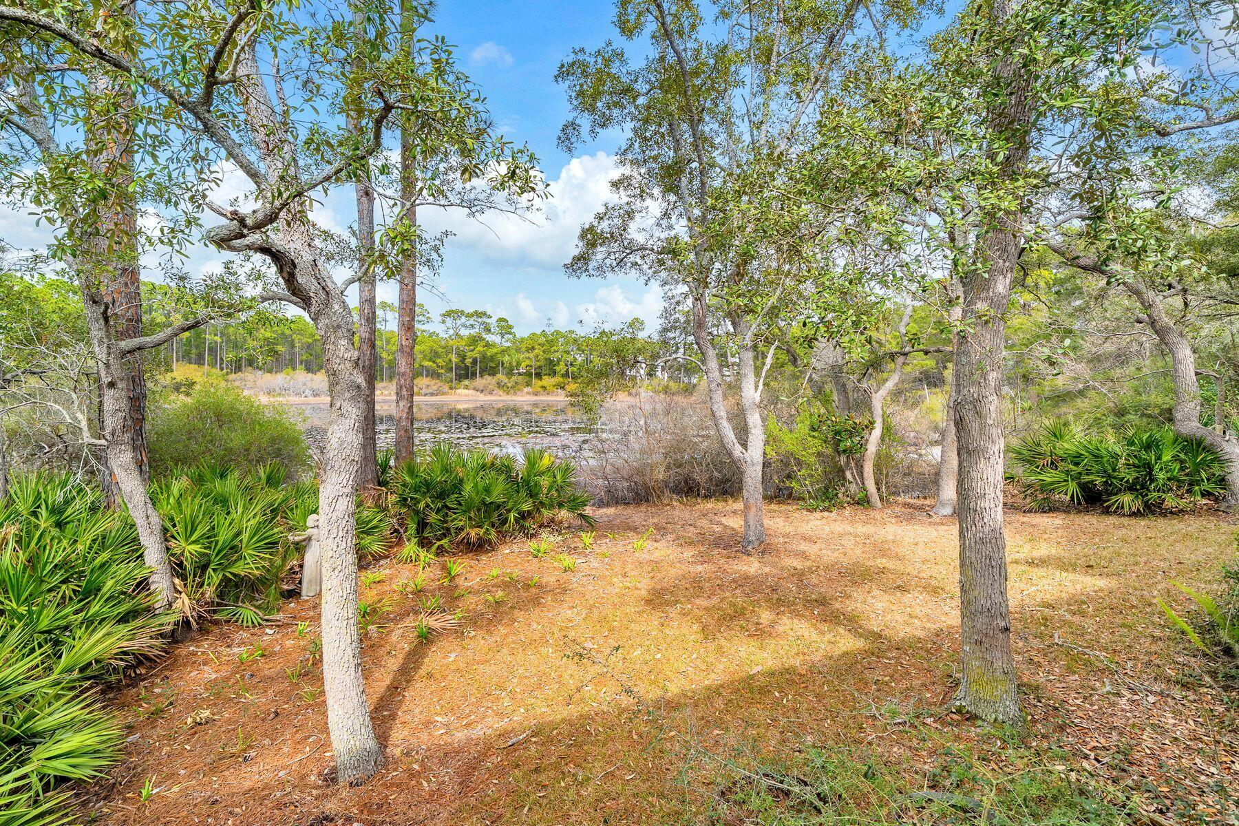 115 Satinwood & Lot 18 Gov Sd Drive Santa Rosa Beach FL 32459