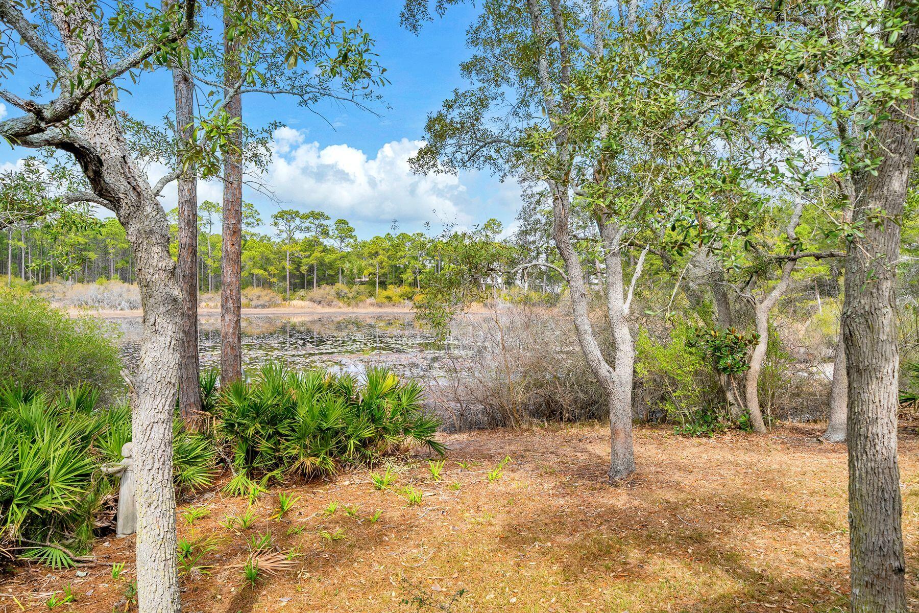 115 Satinwood & Lot 18 Gov Sd Drive Santa Rosa Beach FL 32459