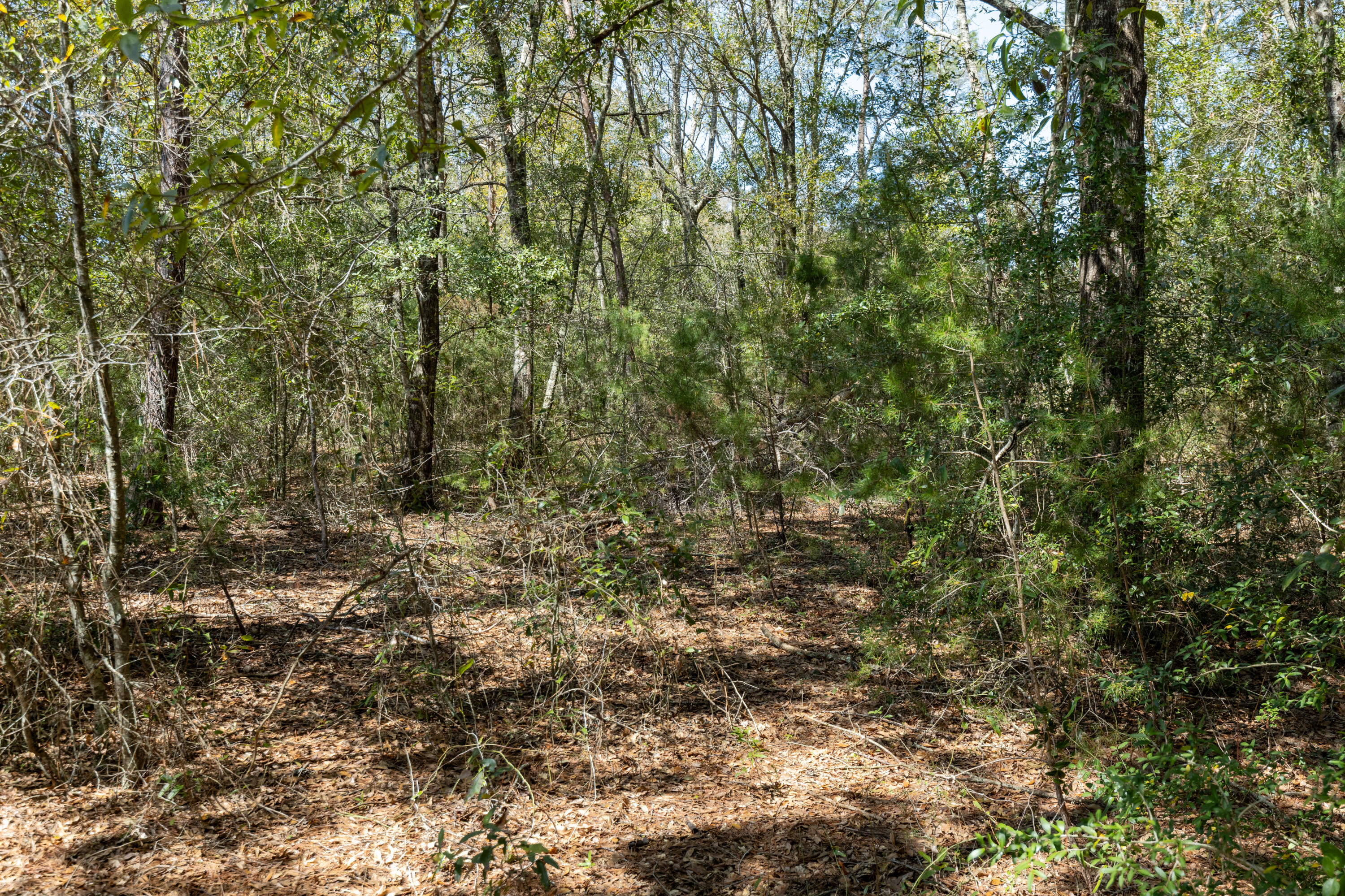 1.385 Acres On Walton Road Defuniak Springs FL 32433
