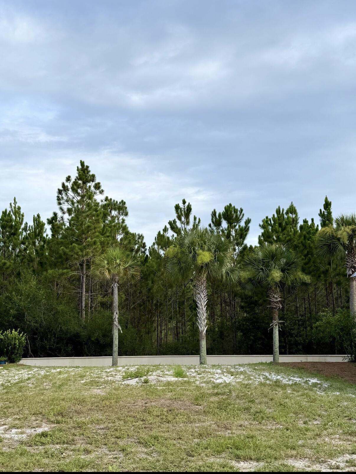 151 Cypress Passage Santa Rosa Beach FL 32459
