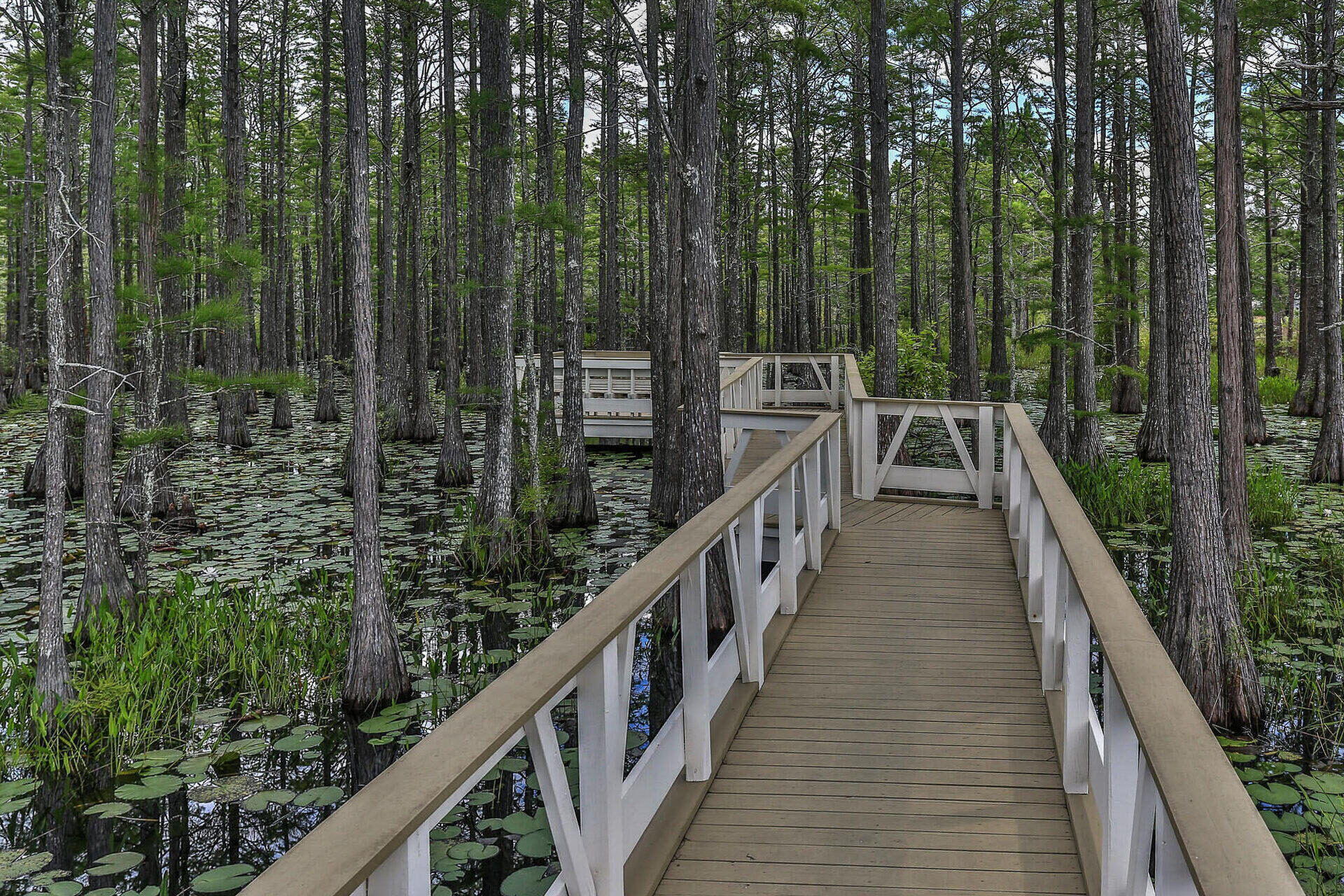 151 Cypress Passage Santa Rosa Beach FL 32459