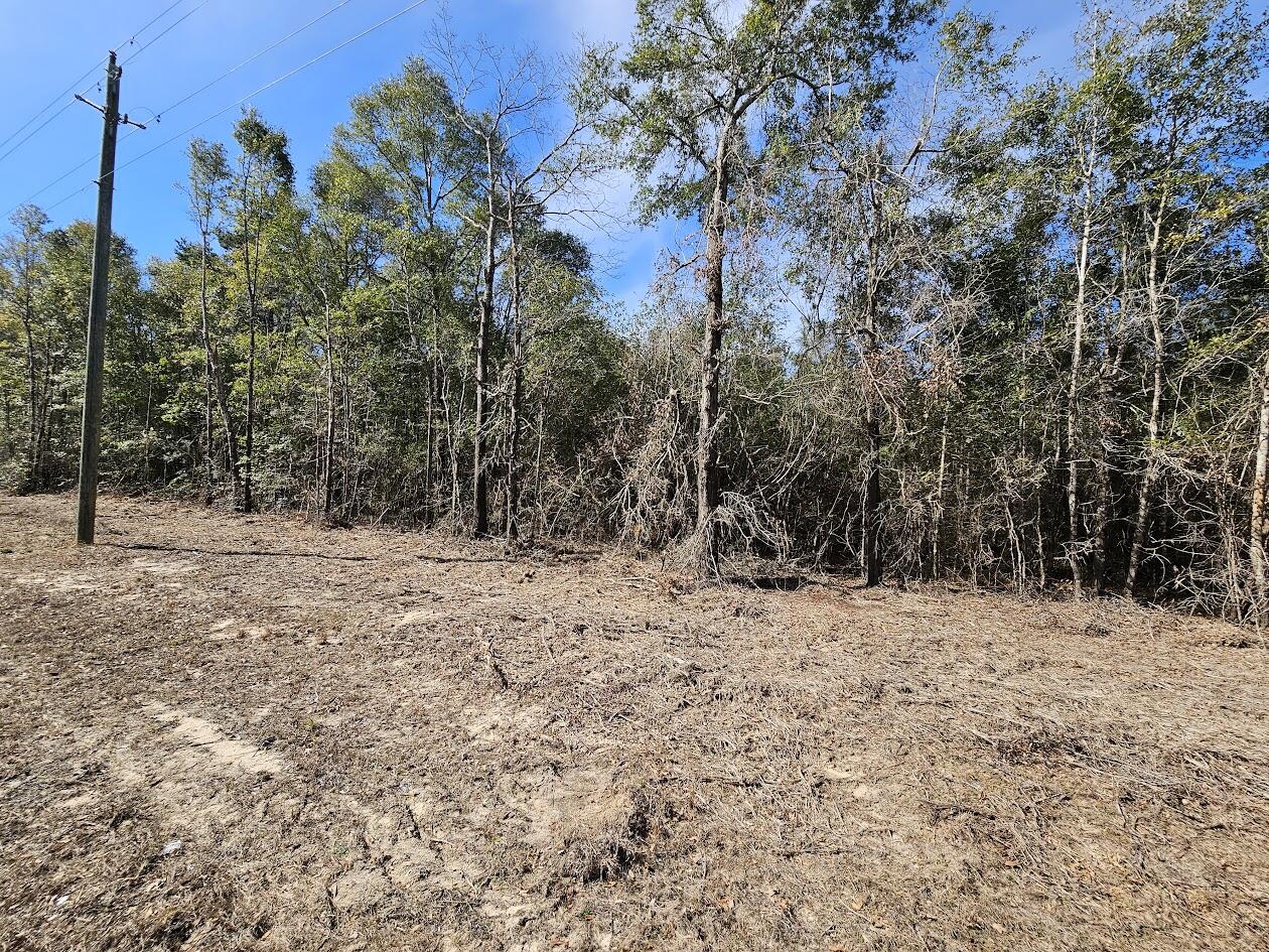 00 C J Laird Road Ponce De Leon FL 32455