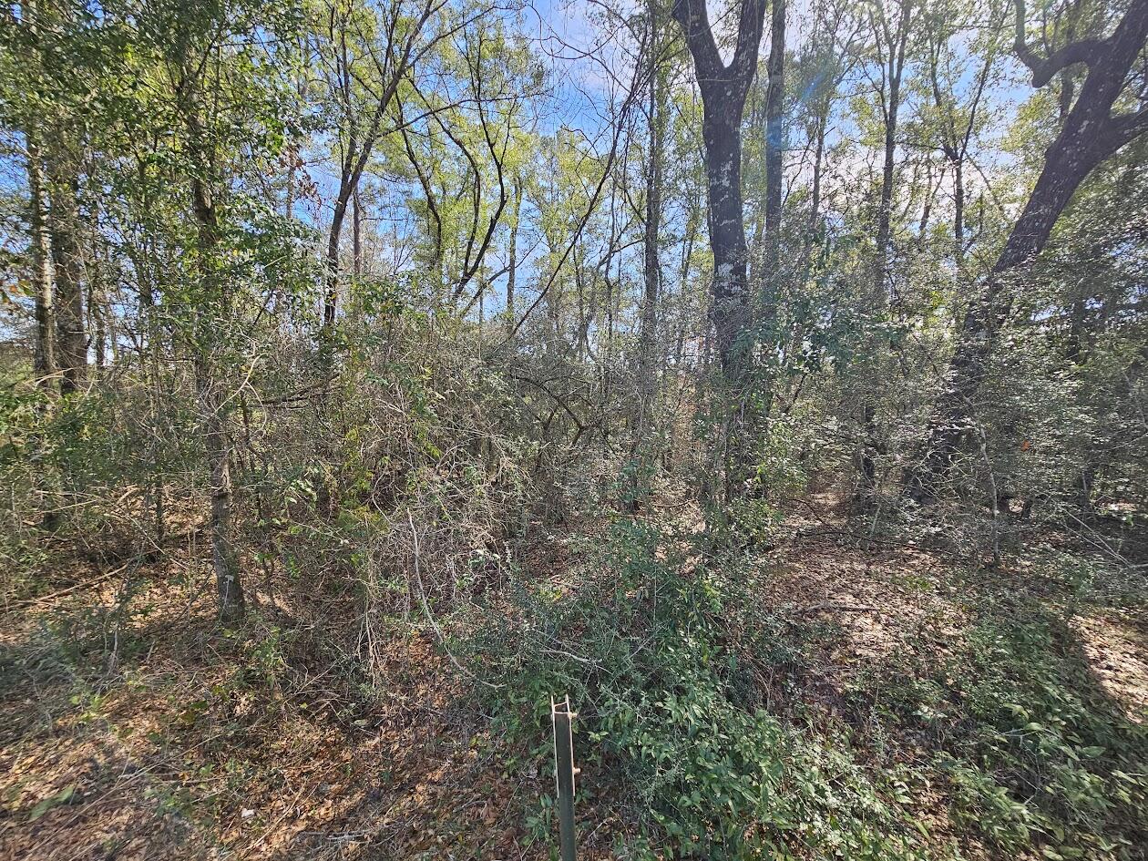 00 C J Laird Road Ponce De Leon FL 32455