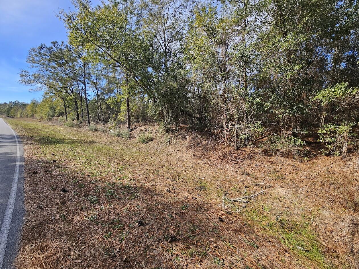 00 C J Laird Road Ponce De Leon FL 32455