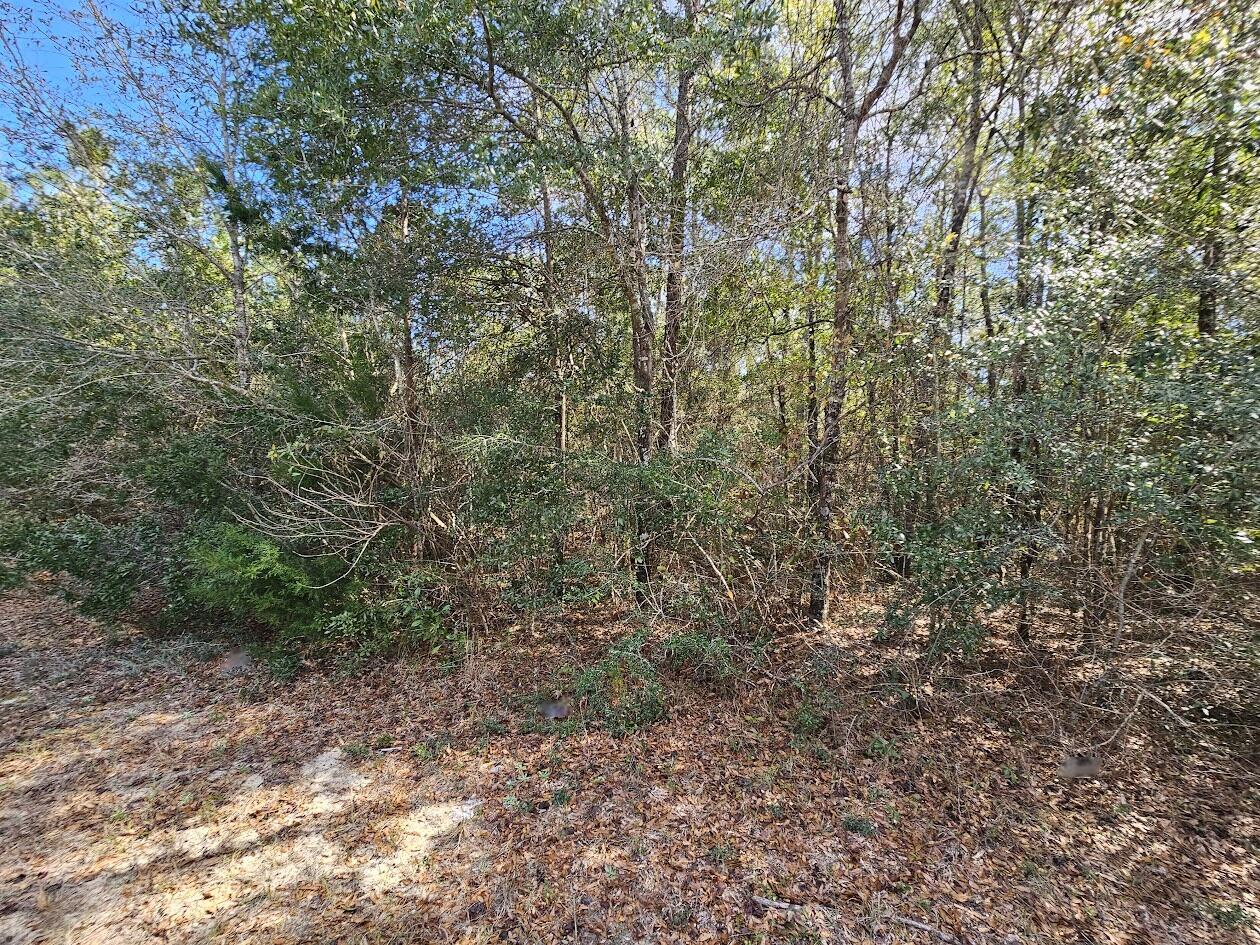 00 C J Laird Road Ponce De Leon FL 32455