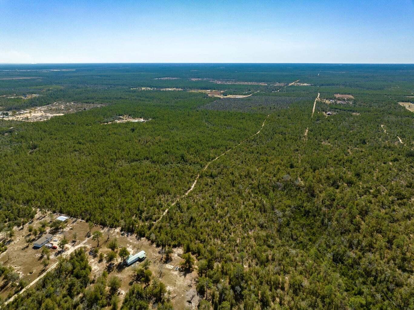 110+/- Acres Hwy 20 Youngstown Other FL N/A