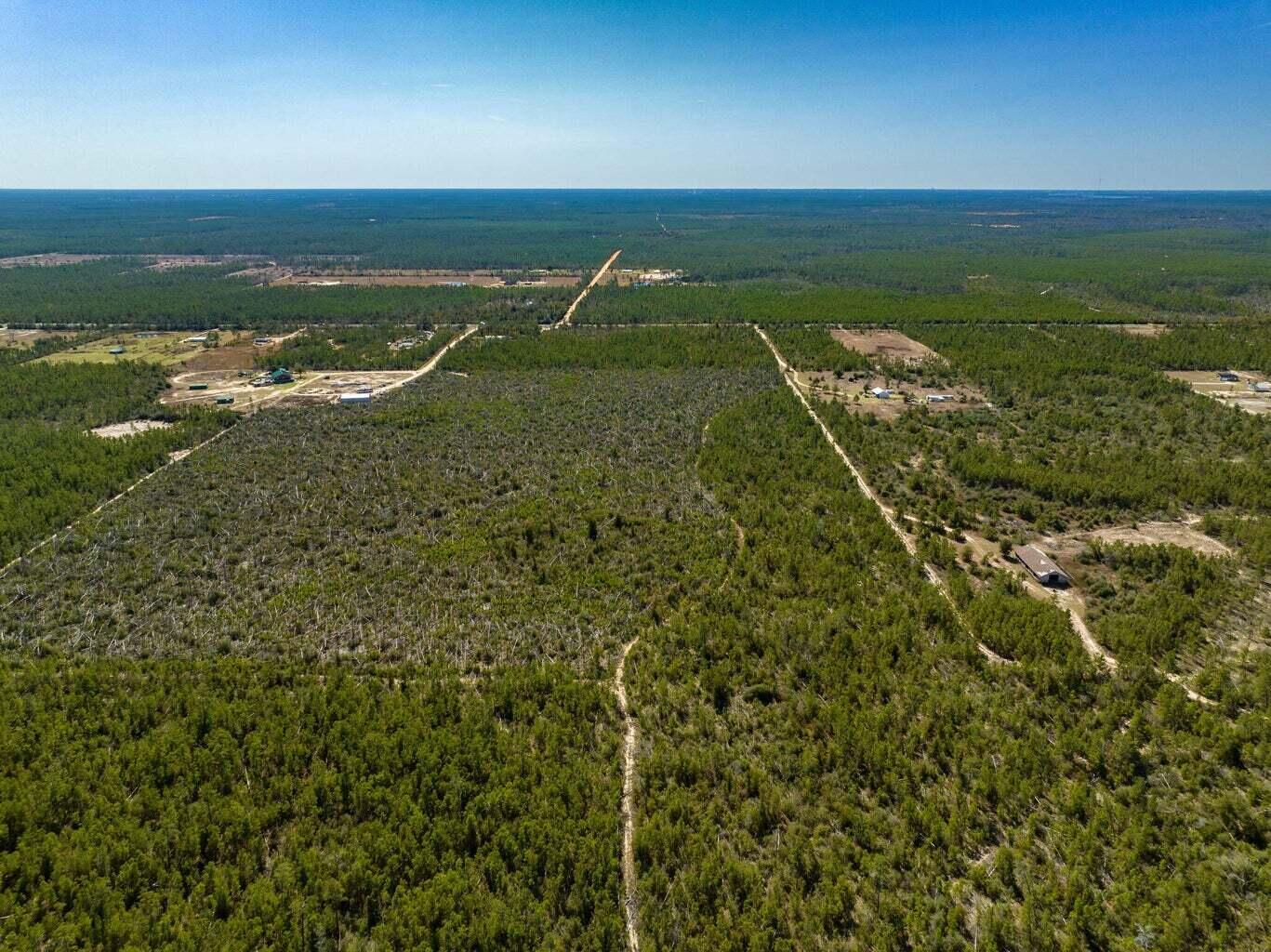 110+/- Acres Hwy 20 Youngstown Other FL N/A