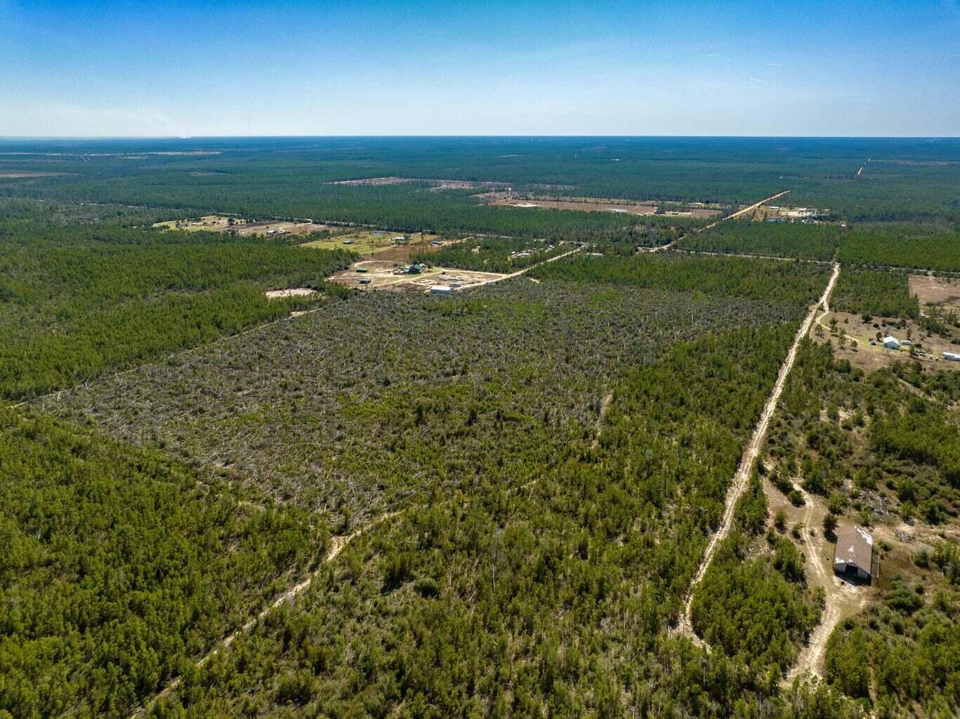 110+/- Acres Hwy 20 Youngstown Other FL N/A