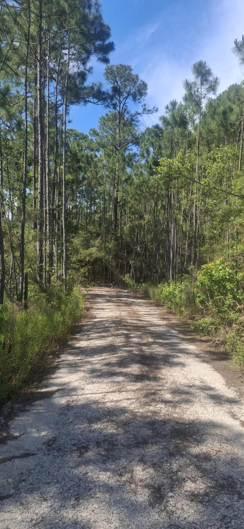 Lot 12 W Nursery Road Santa Rosa Beach FL 32459