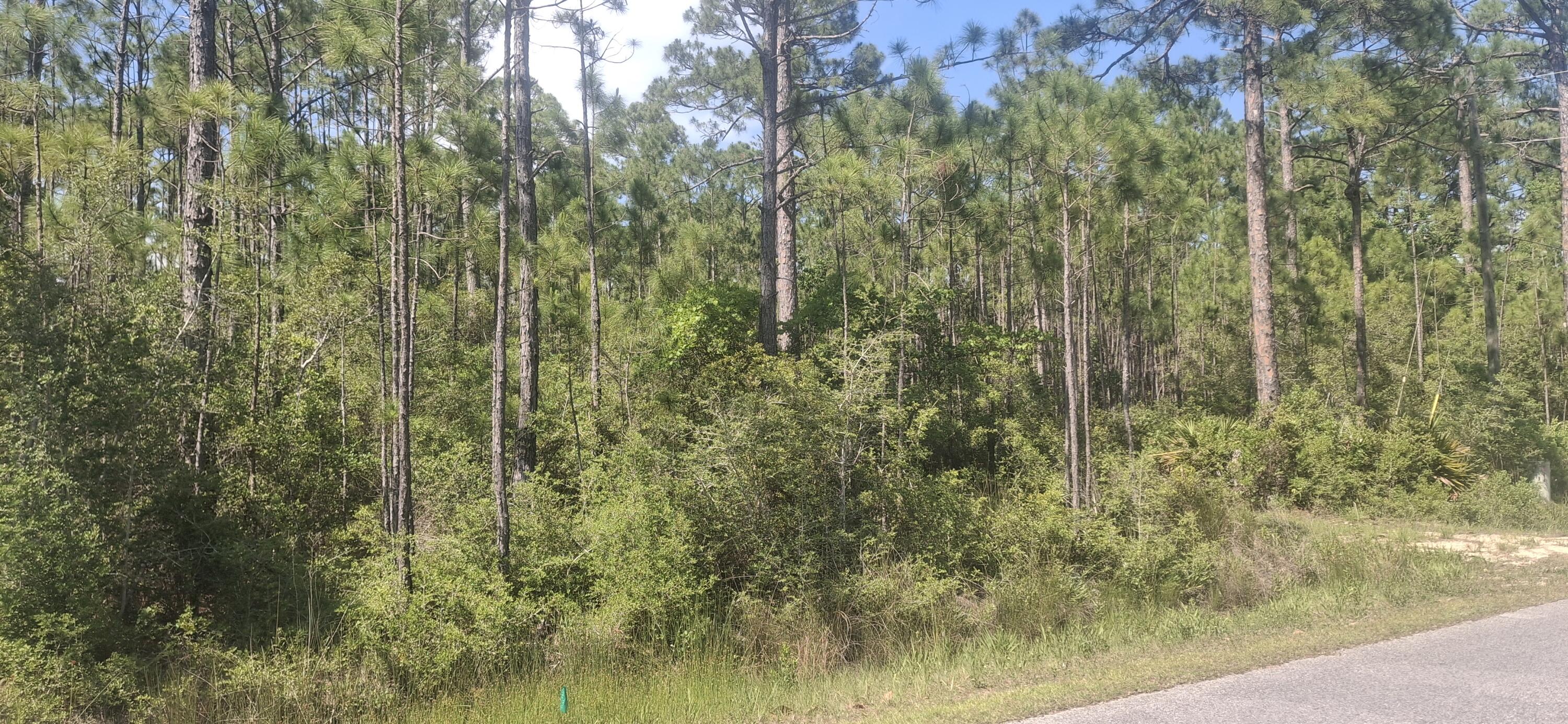 Lot 12 W Nursery Road Santa Rosa Beach FL 32459