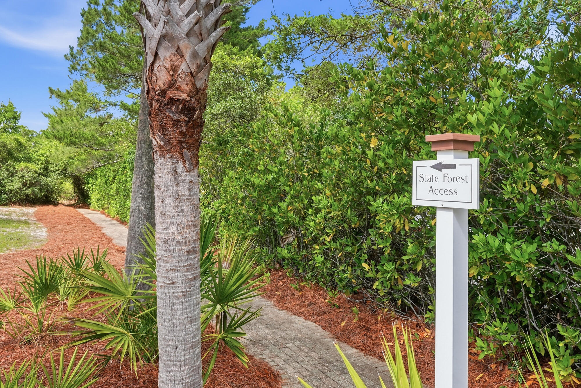 Lot 26 Sand Oaks Circle Santa Rosa Beach FL 32459