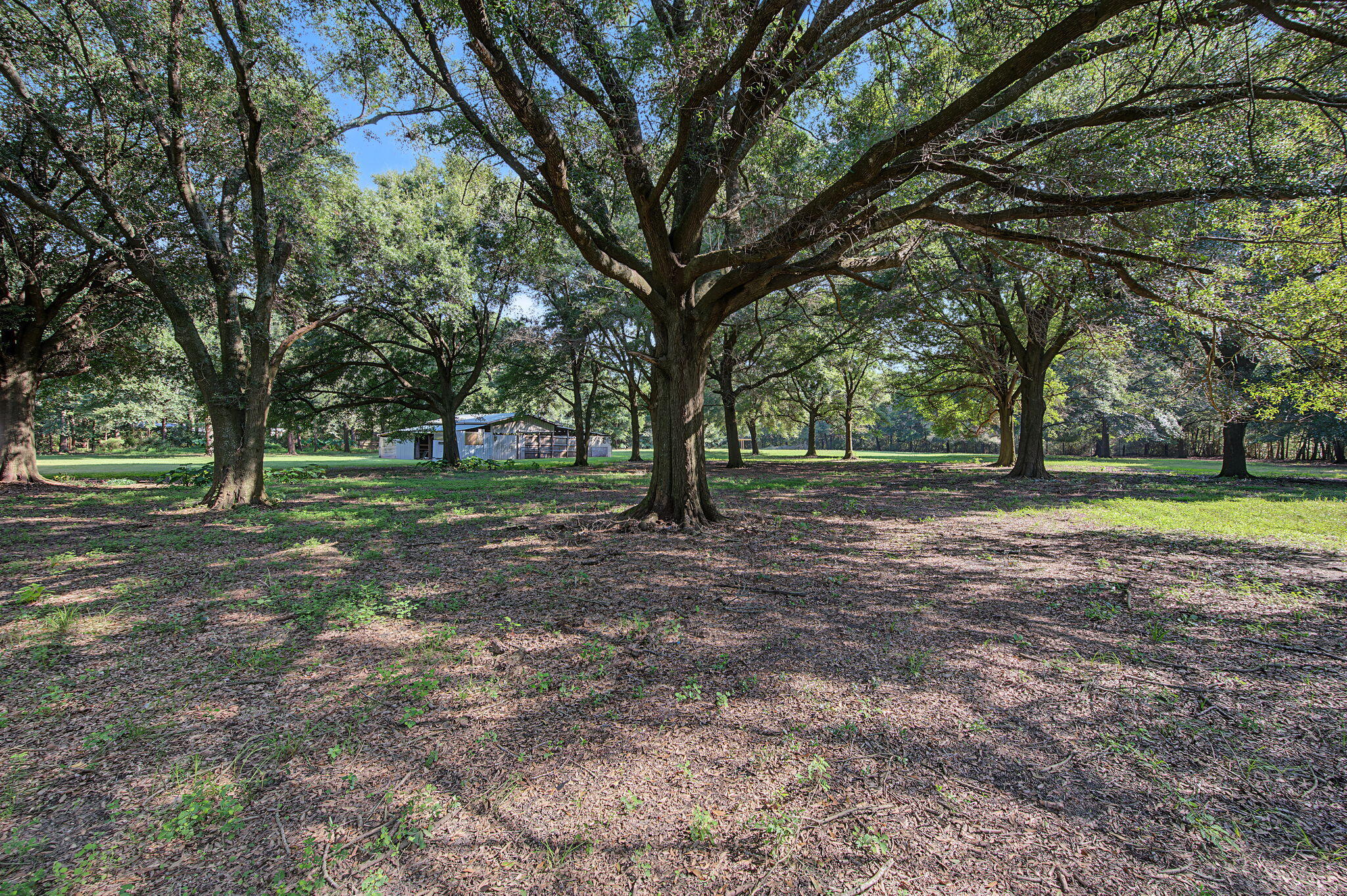 12400 Wildlife Road Holt FL 32564