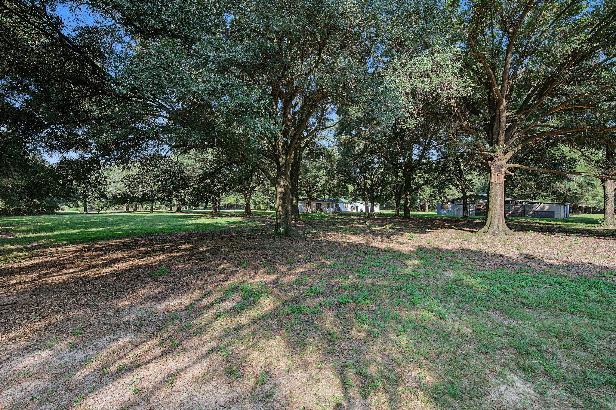 12400 Wildlife Road Holt FL 32564
