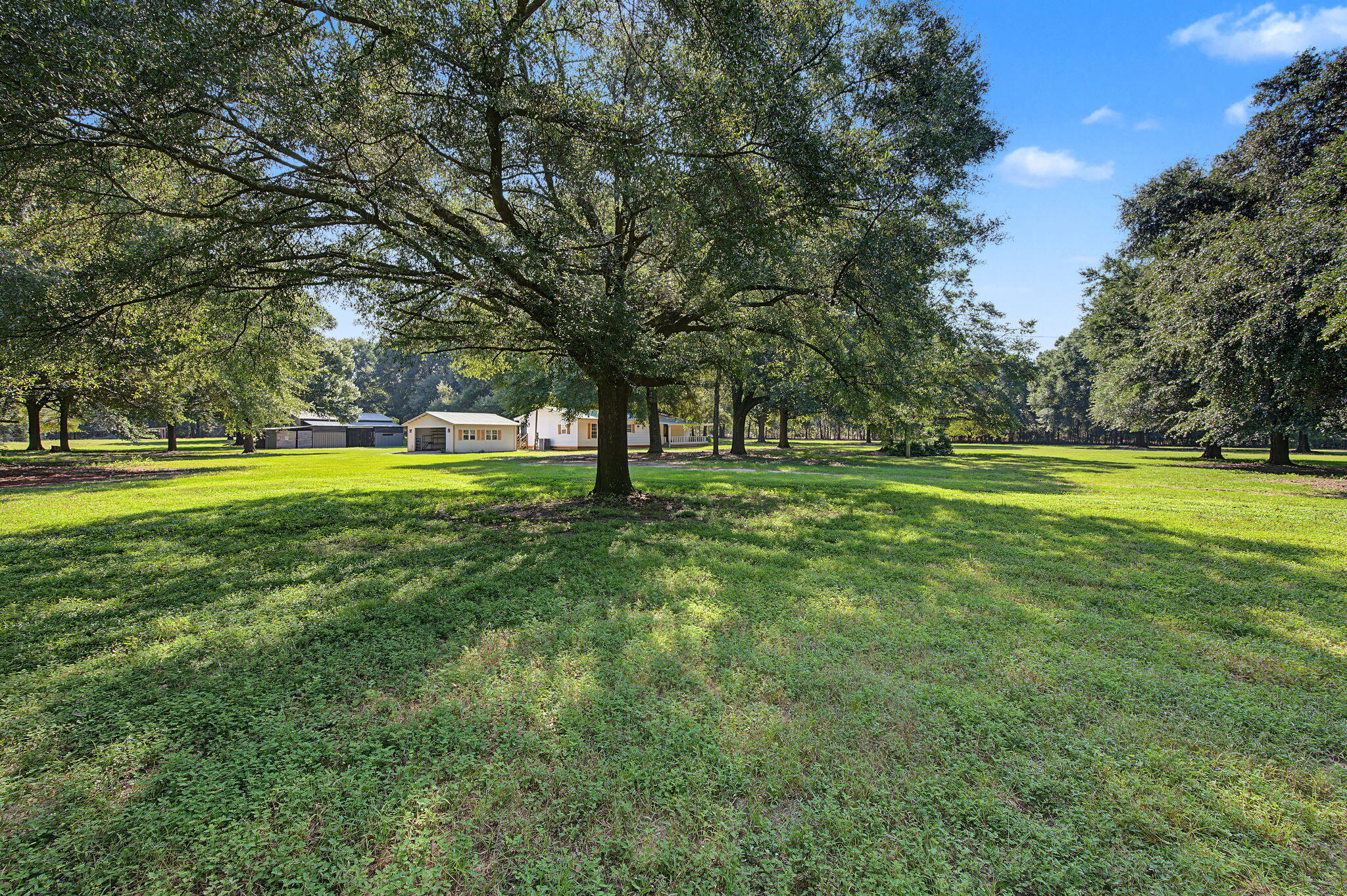 12400 Wildlife Road Holt FL 32564