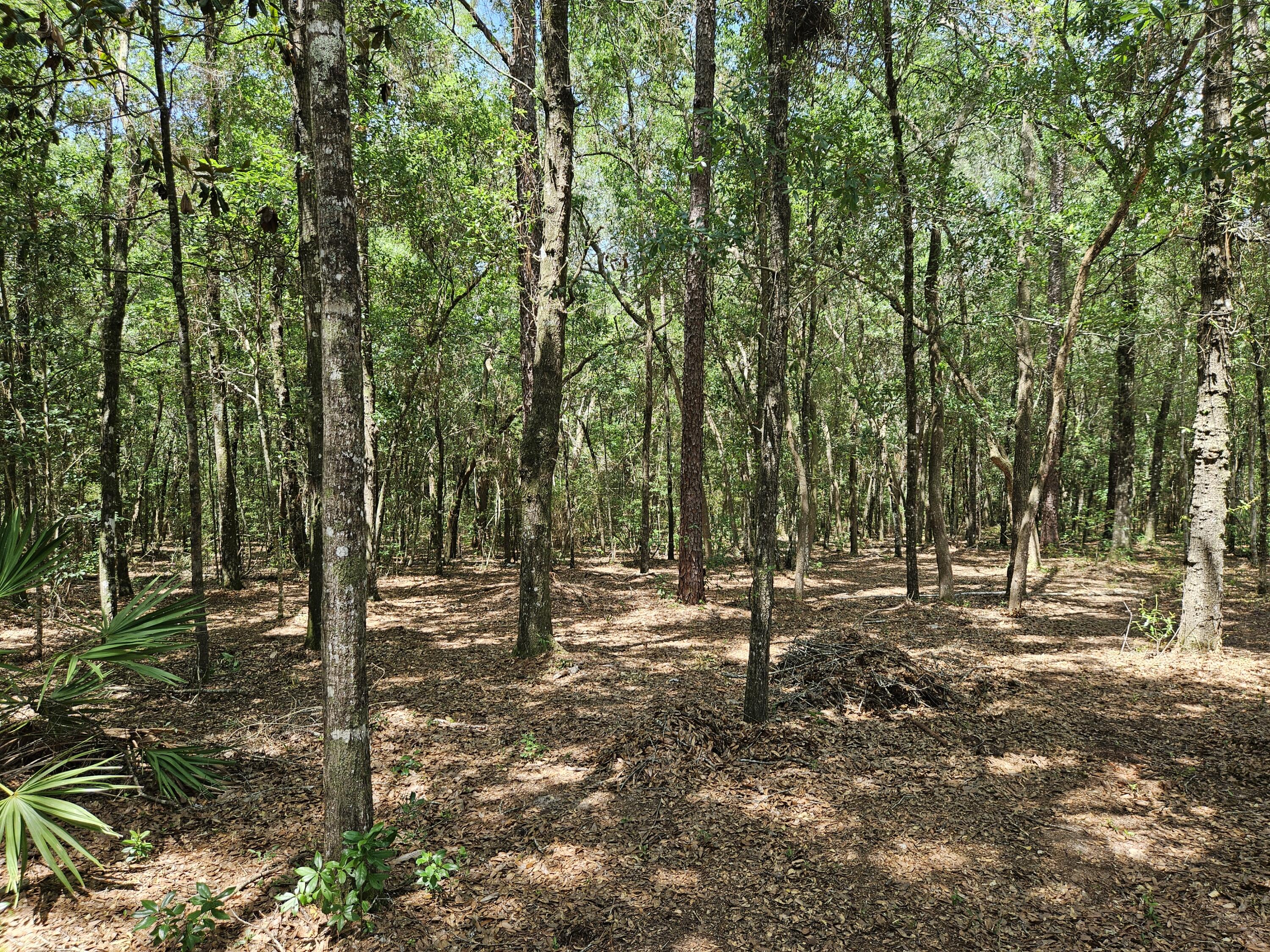 940 Hiawatha Street Holt FL 32564