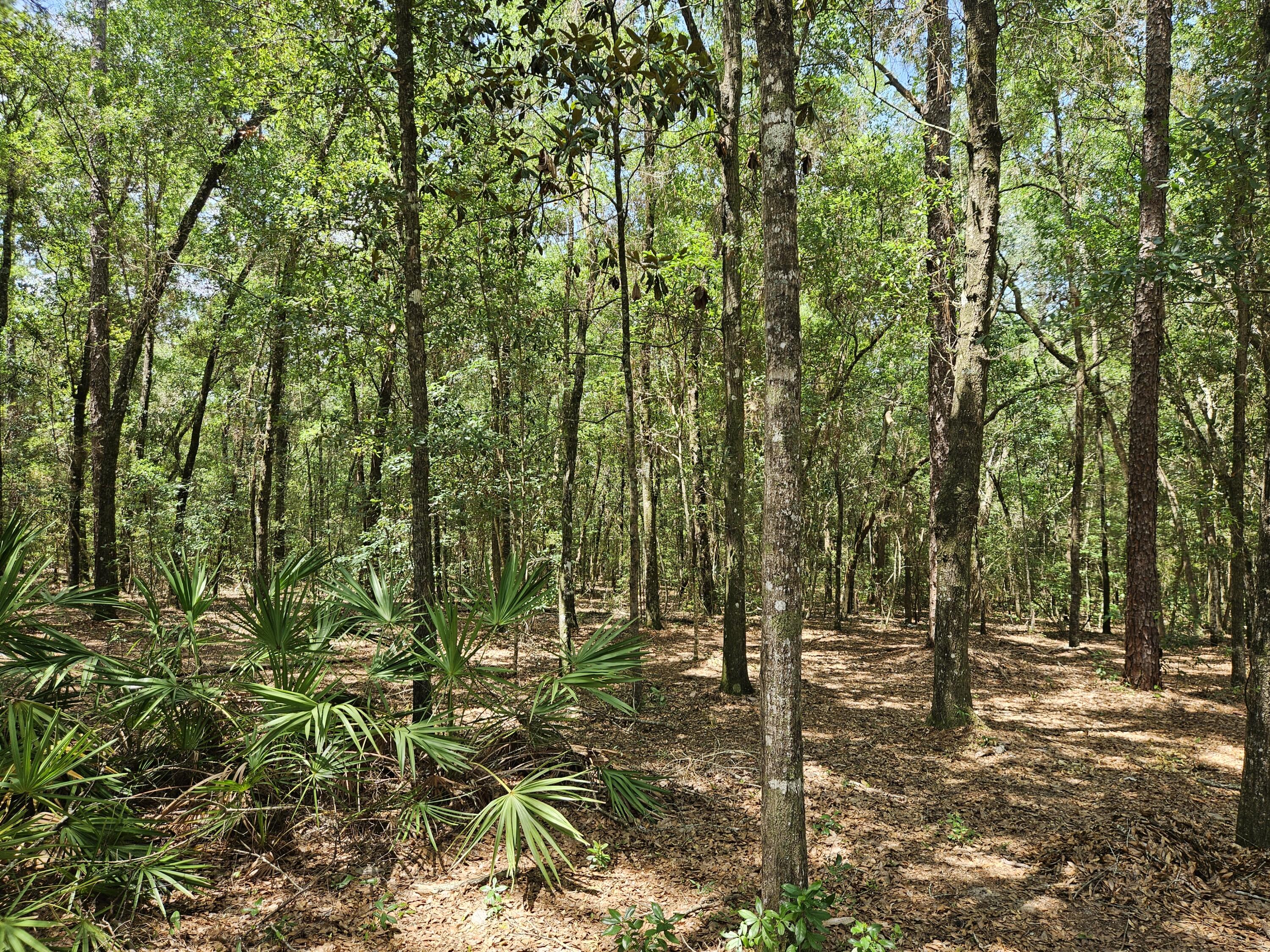 940 Hiawatha Street Holt FL 32564