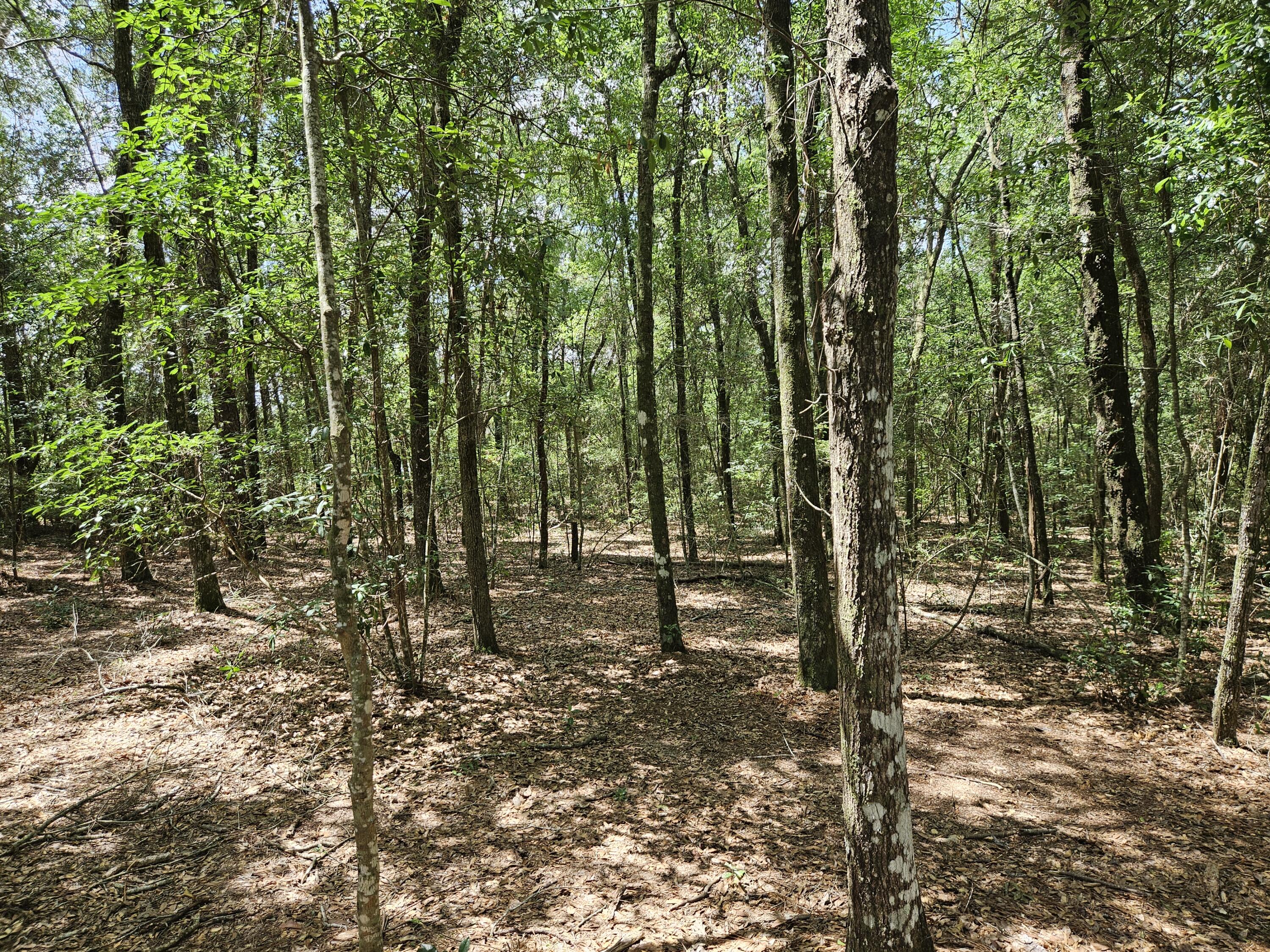 940 Hiawatha Street Holt FL 32564