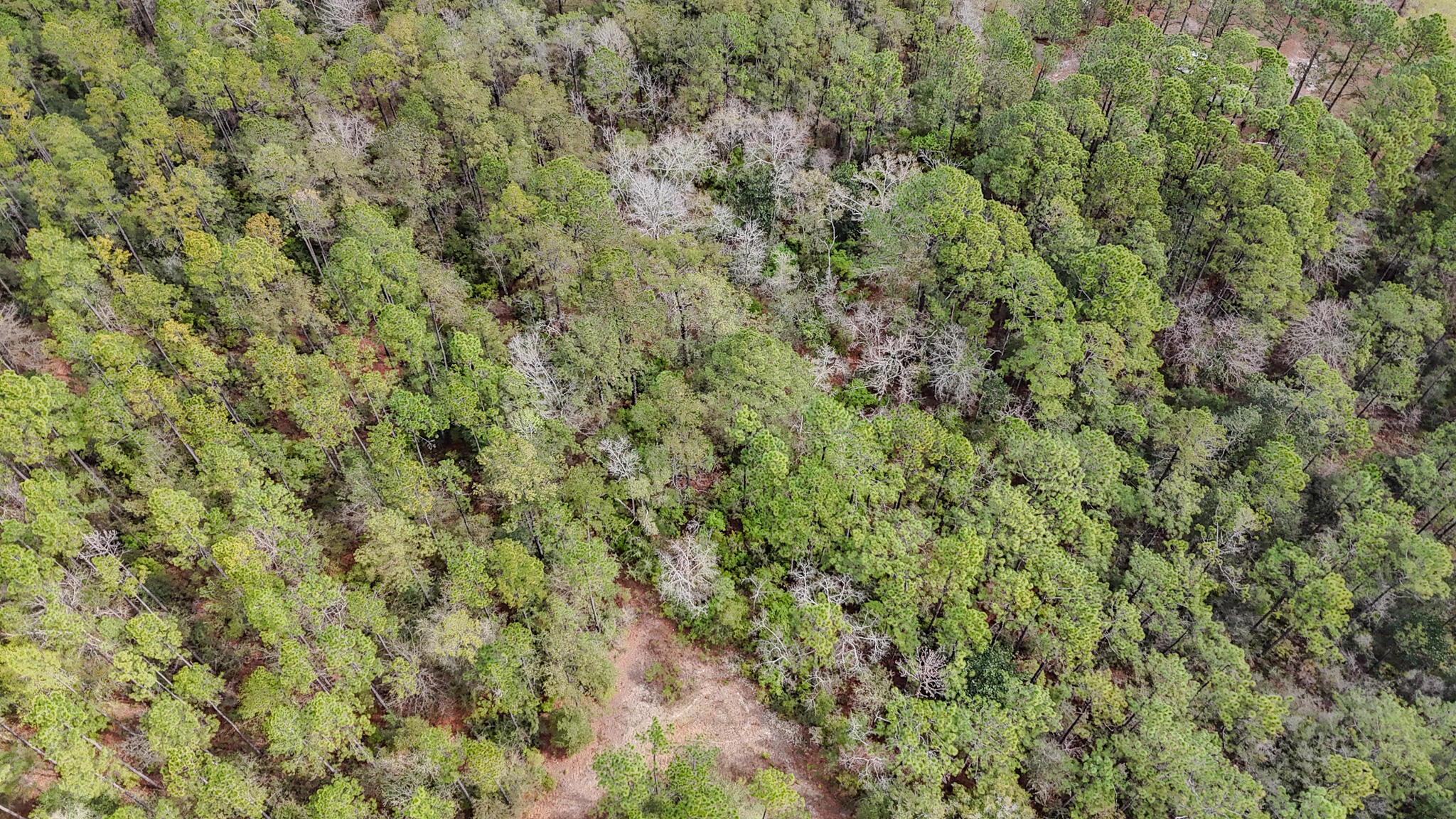 522 Black Creek Boulevard Freeport FL 32439