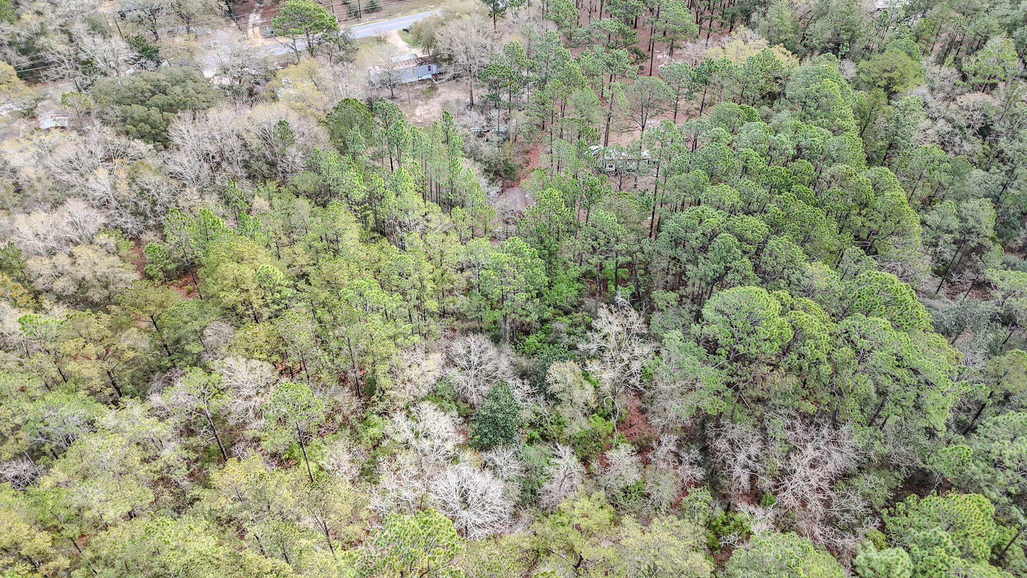 522 Black Creek Boulevard Freeport FL 32439