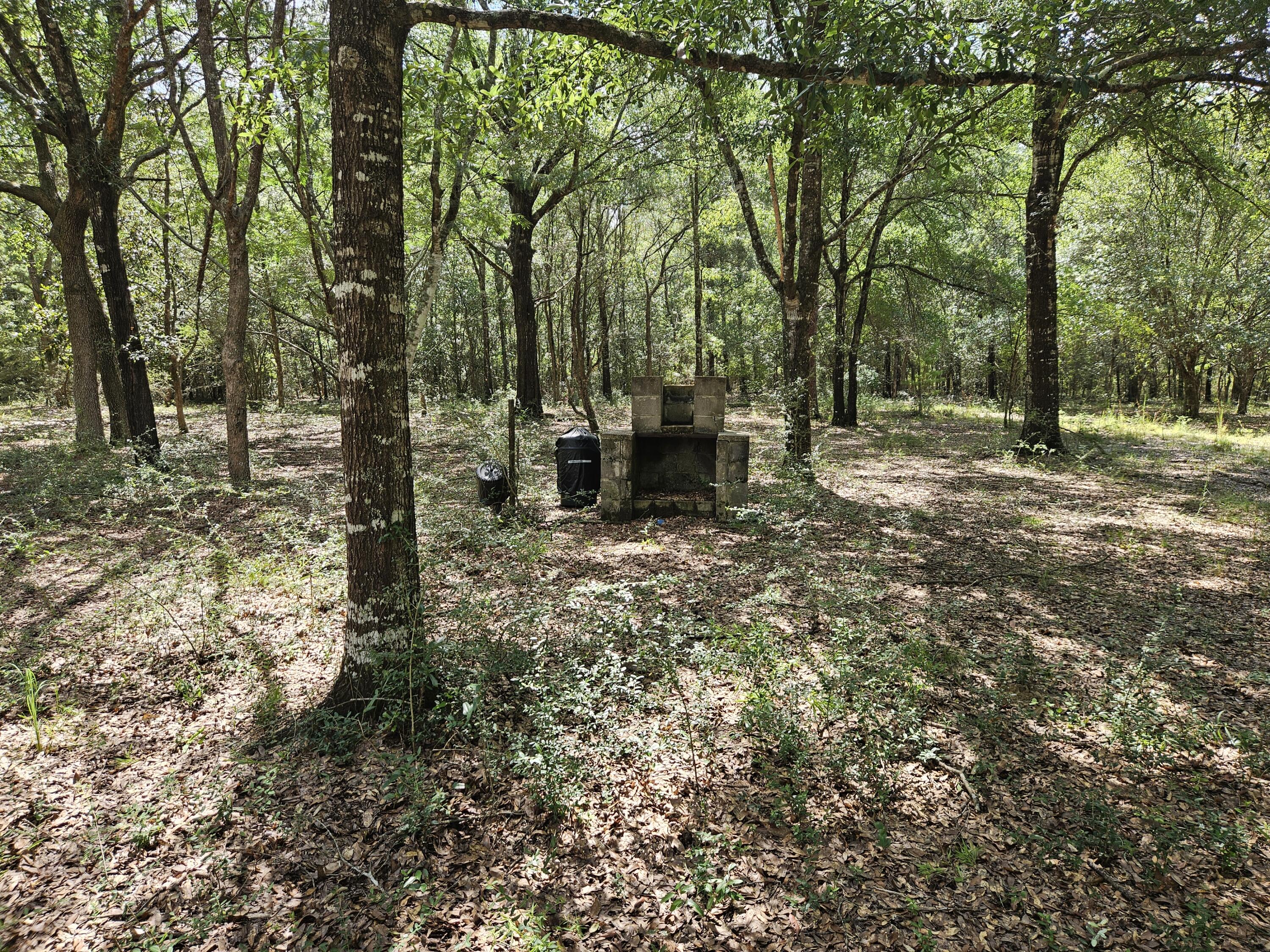 149 Nusom Drive Defuniak Springs FL 32433