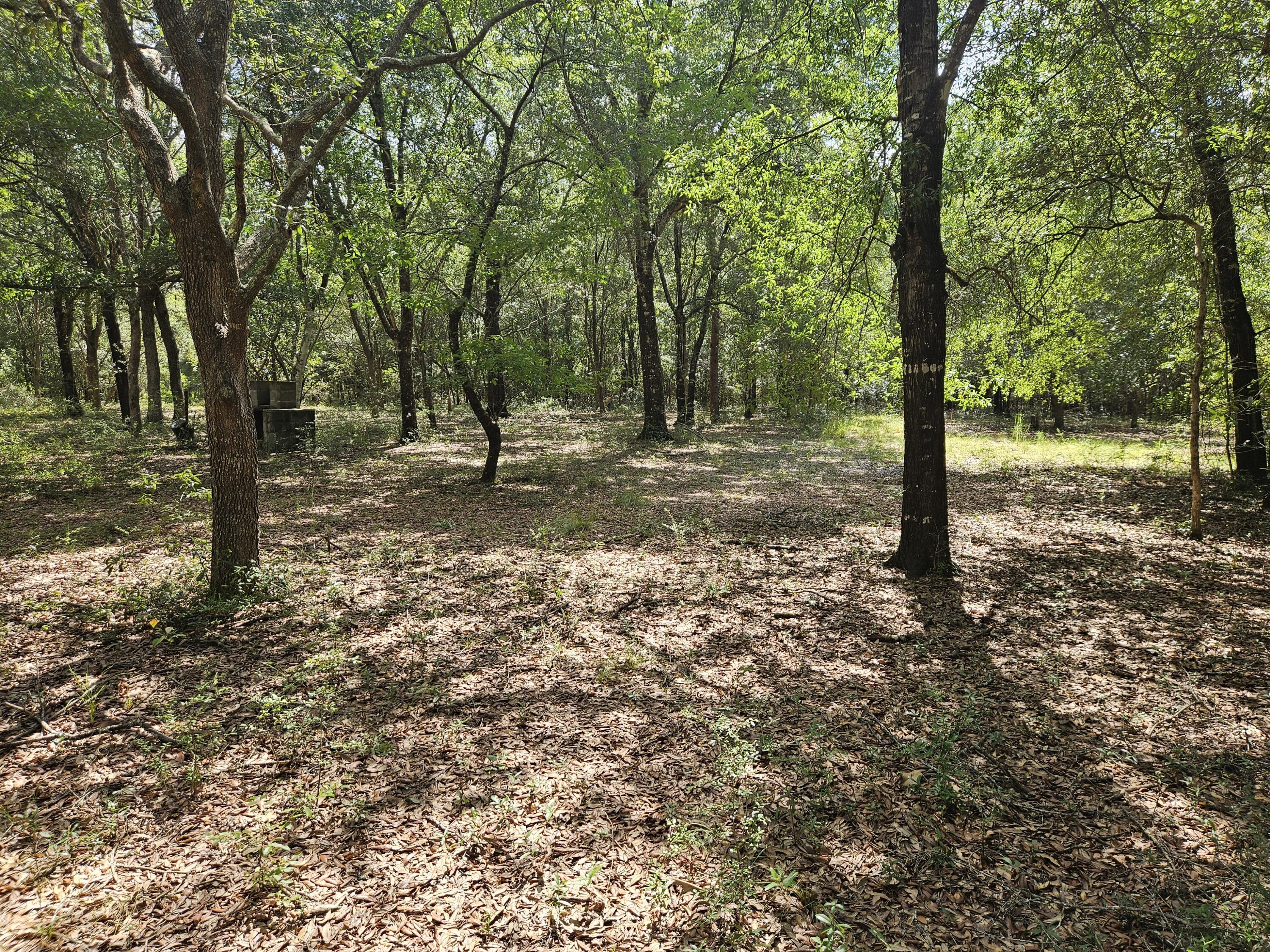 149 Nusom Drive Defuniak Springs FL 32433