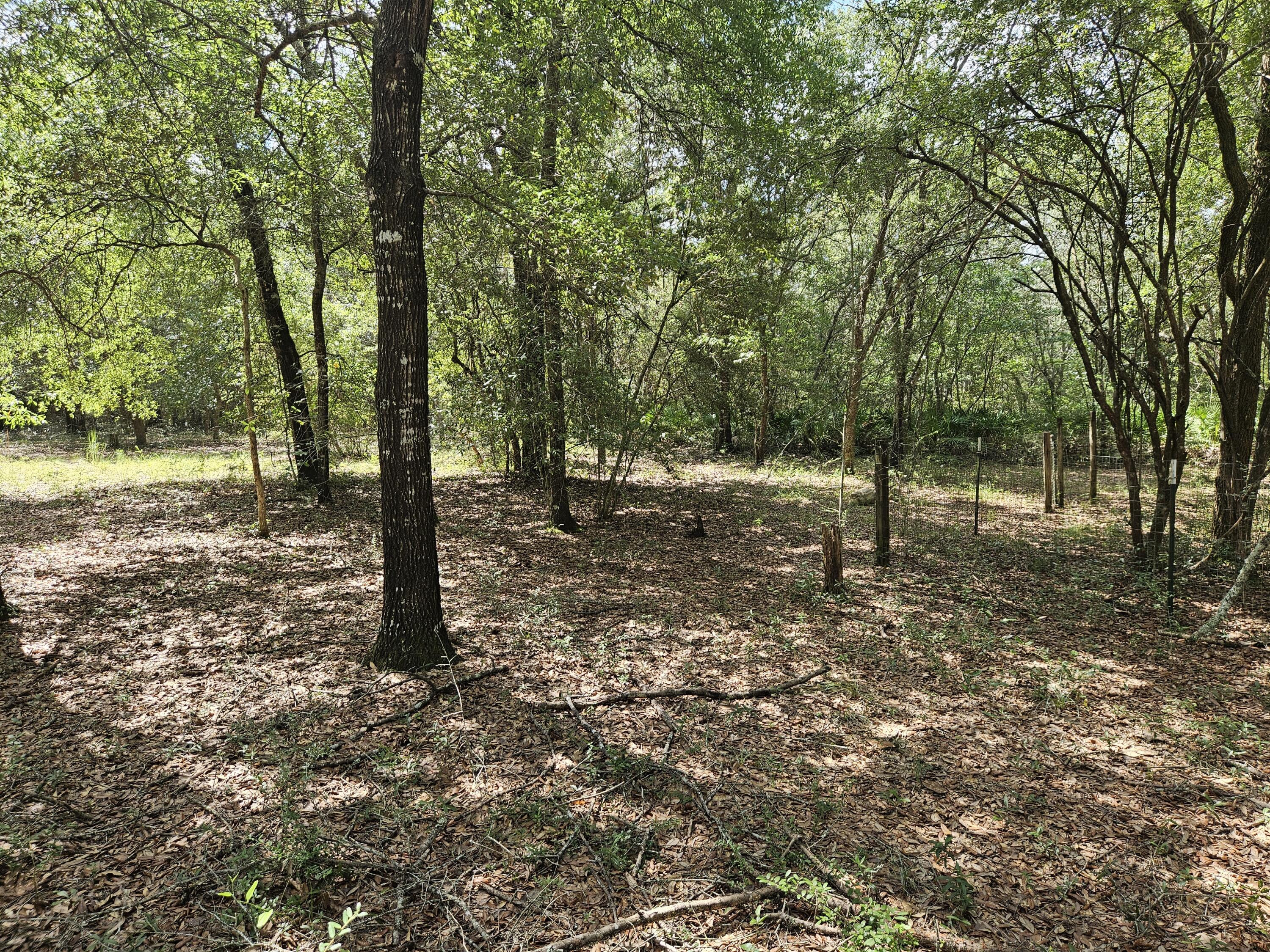 149 Nusom Drive Defuniak Springs FL 32433