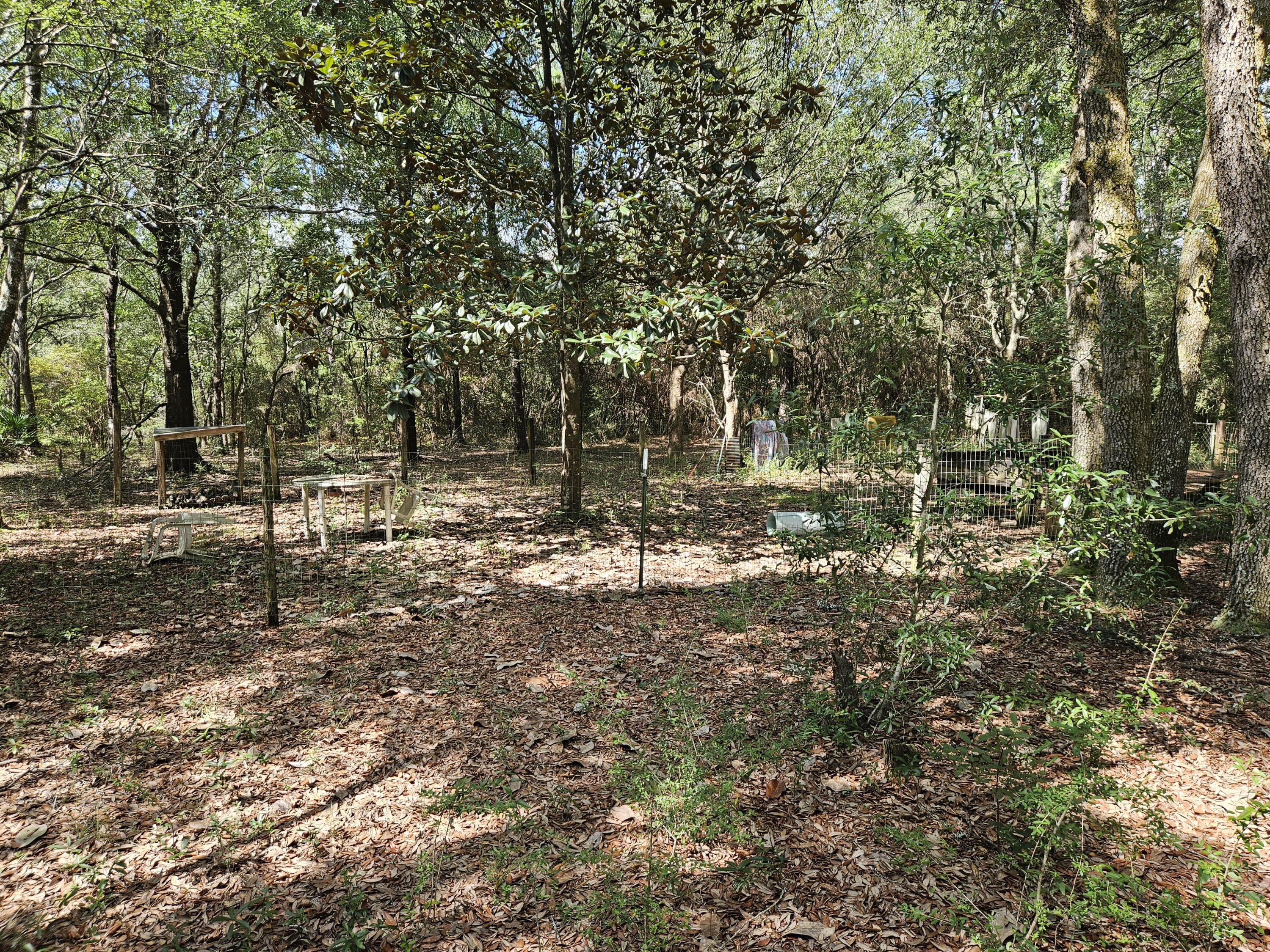 149 Nusom Drive Defuniak Springs FL 32433