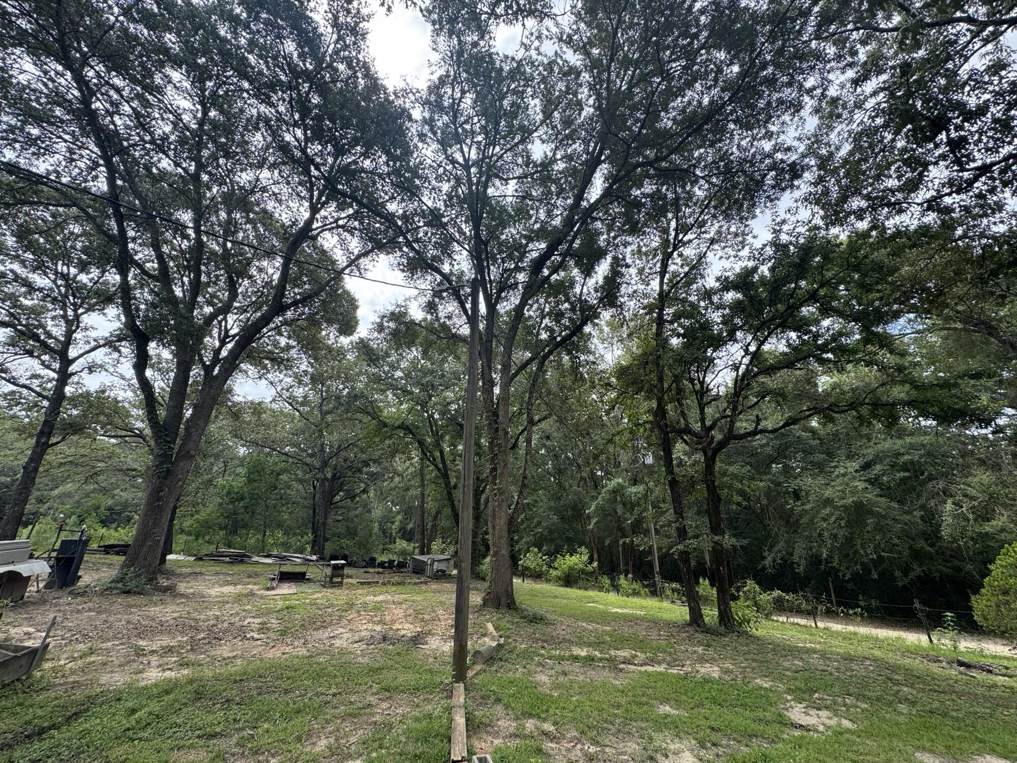 1971 Tower Lane Westville FL 32464