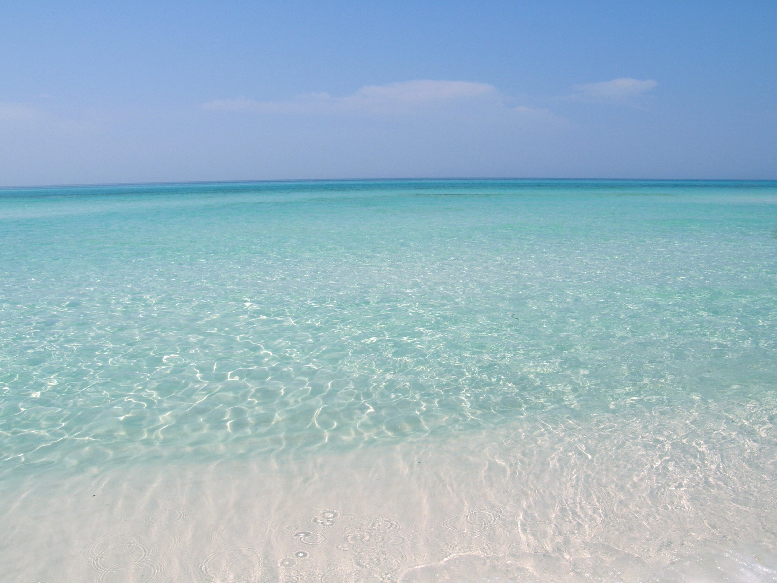 67 Sarasota Street Miramar Beach FL 32550
