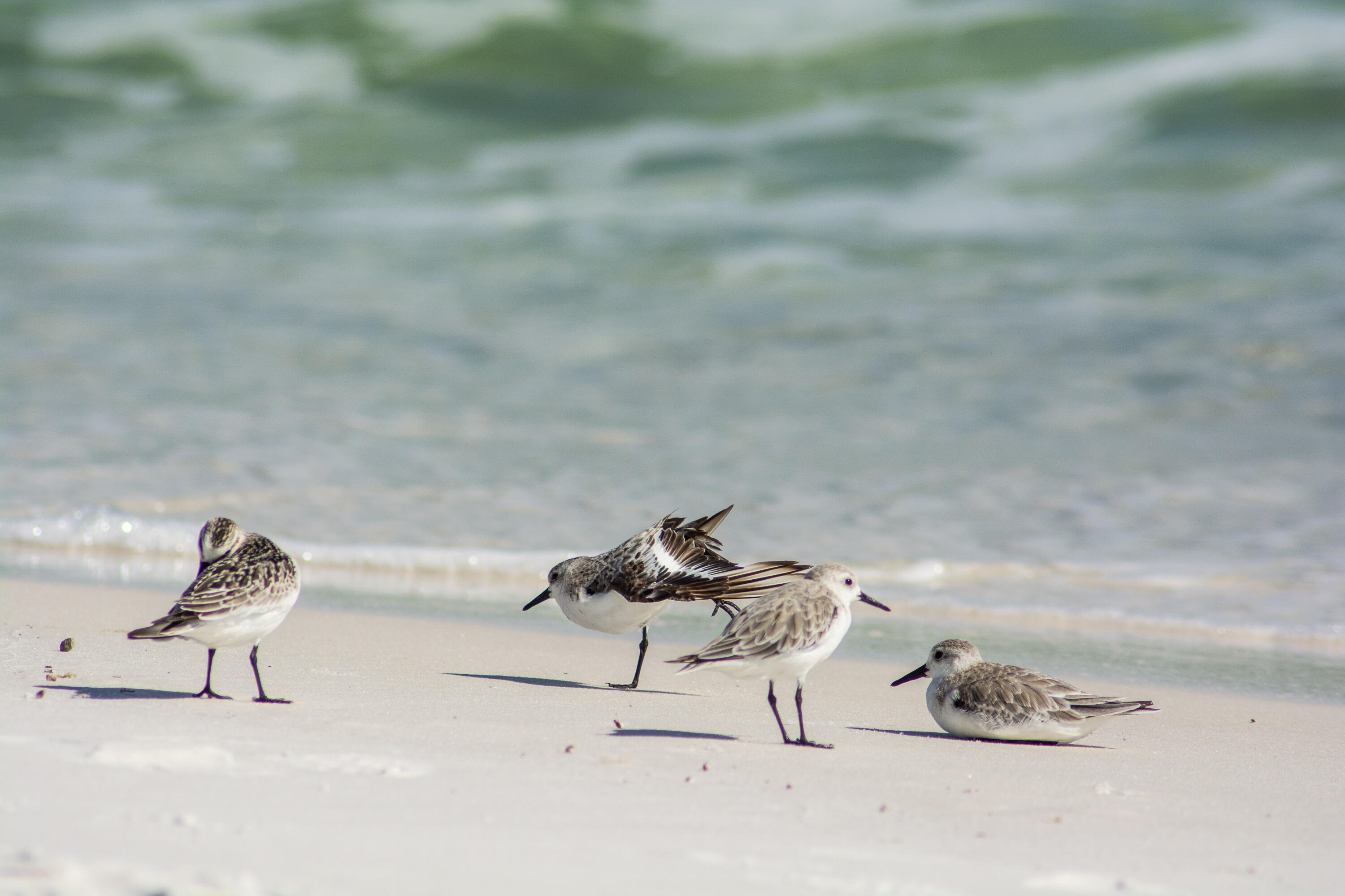 90 Emerald Beach Way Santa Rosa Beach FL 32459