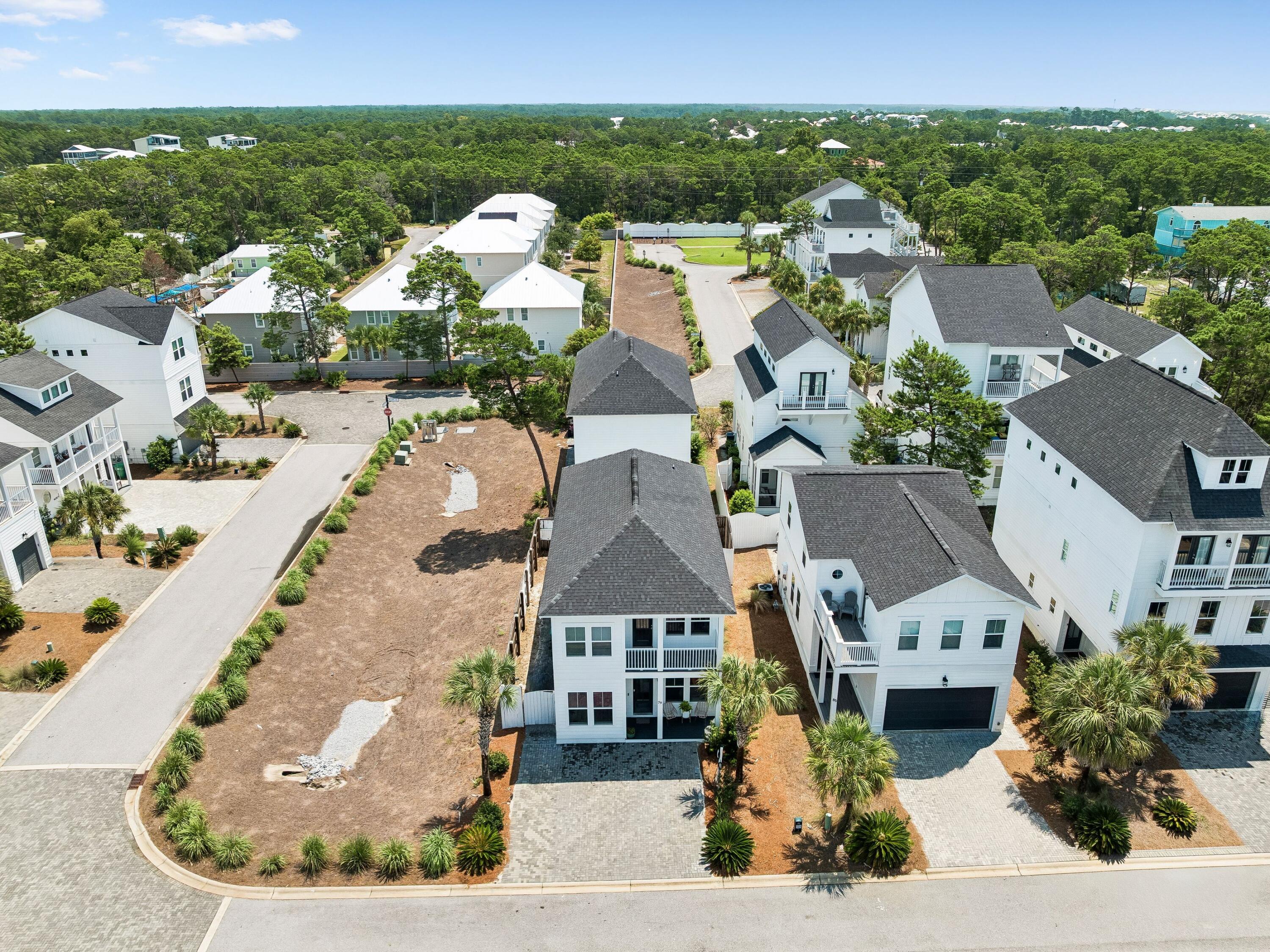 79 Beach View Drive Inlet Beach FL 32461