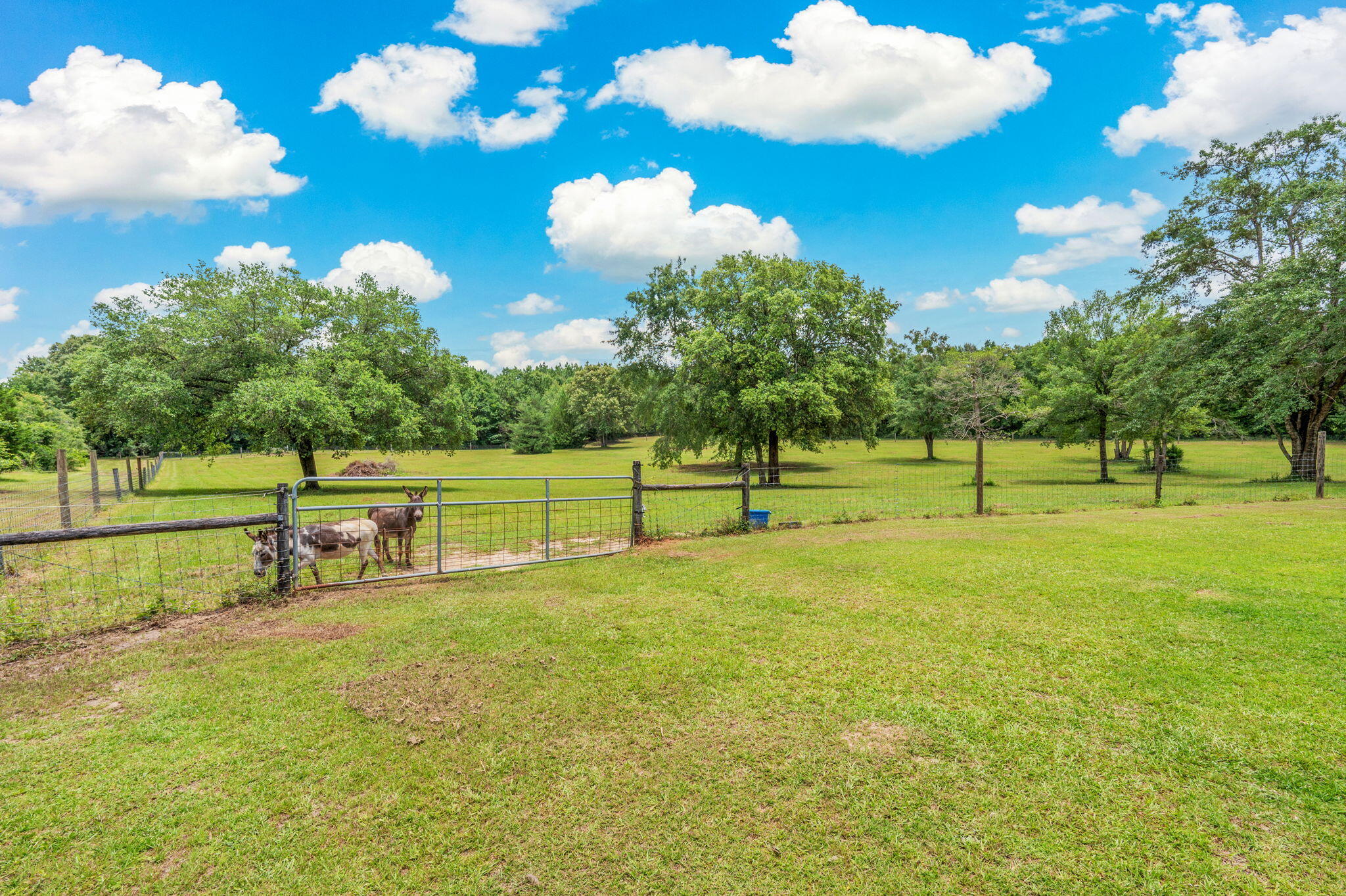 652 Tommy Eiland Road Baker FL 32531