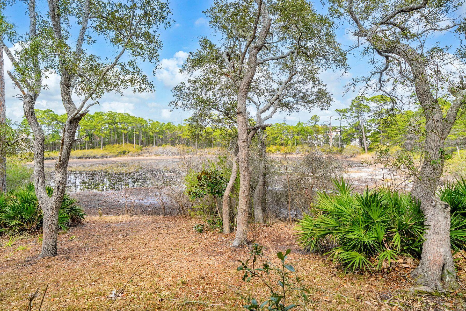 115 Satinwood & Lot 18 Gov Sd Drive Santa Rosa Beach FL 32459