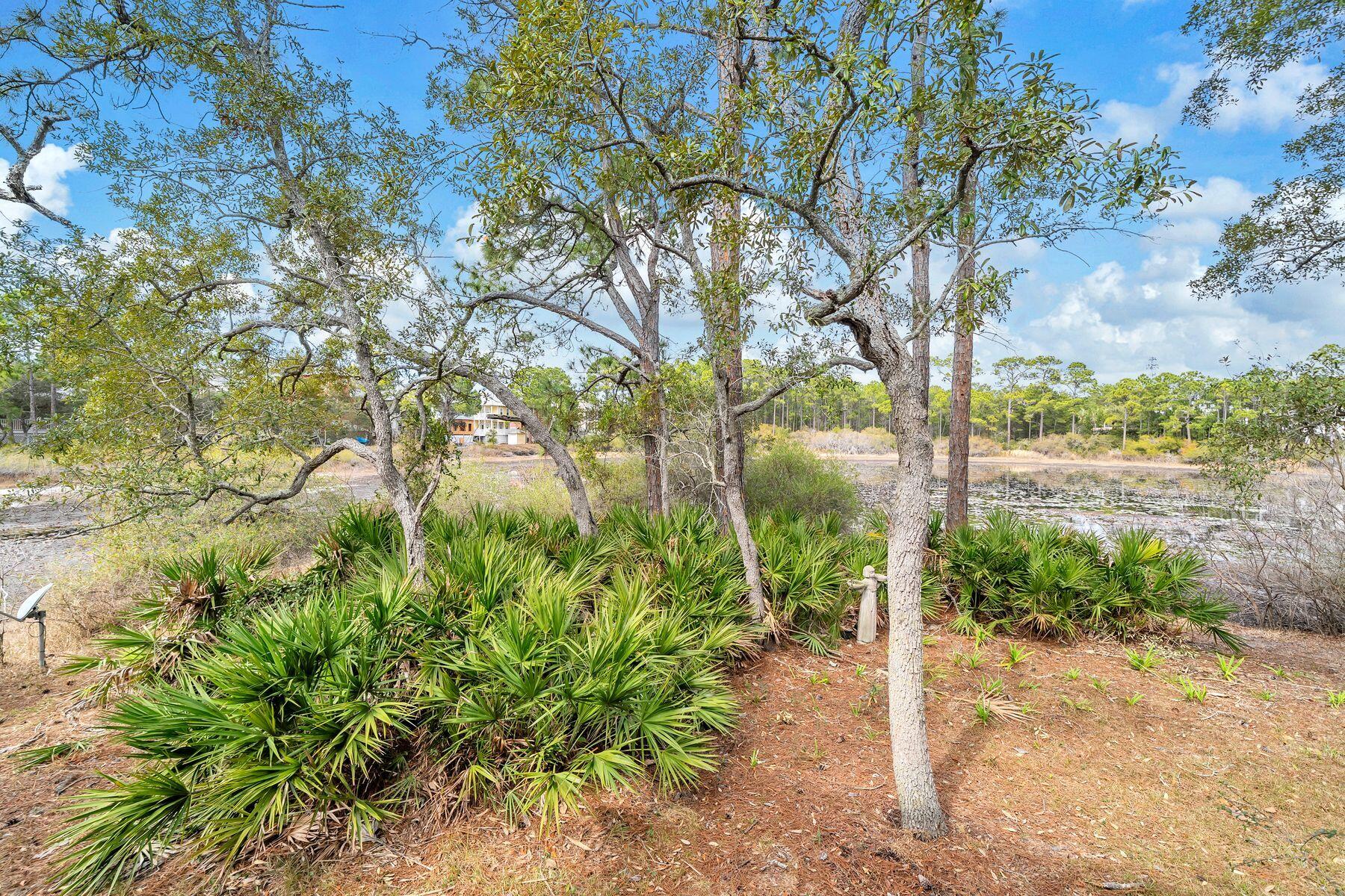 115 Satinwood & Lot 18 Gov Sd Drive Santa Rosa Beach FL 32459