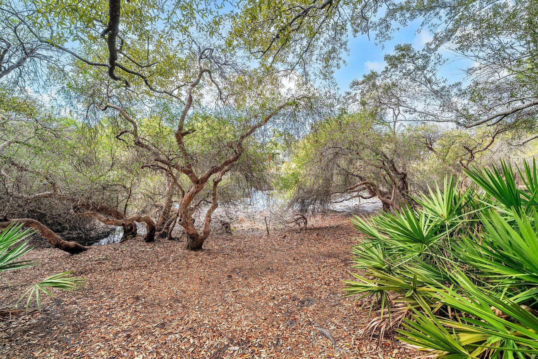 115 Satinwood & Lot 18 Gov Sd Drive Santa Rosa Beach FL 32459