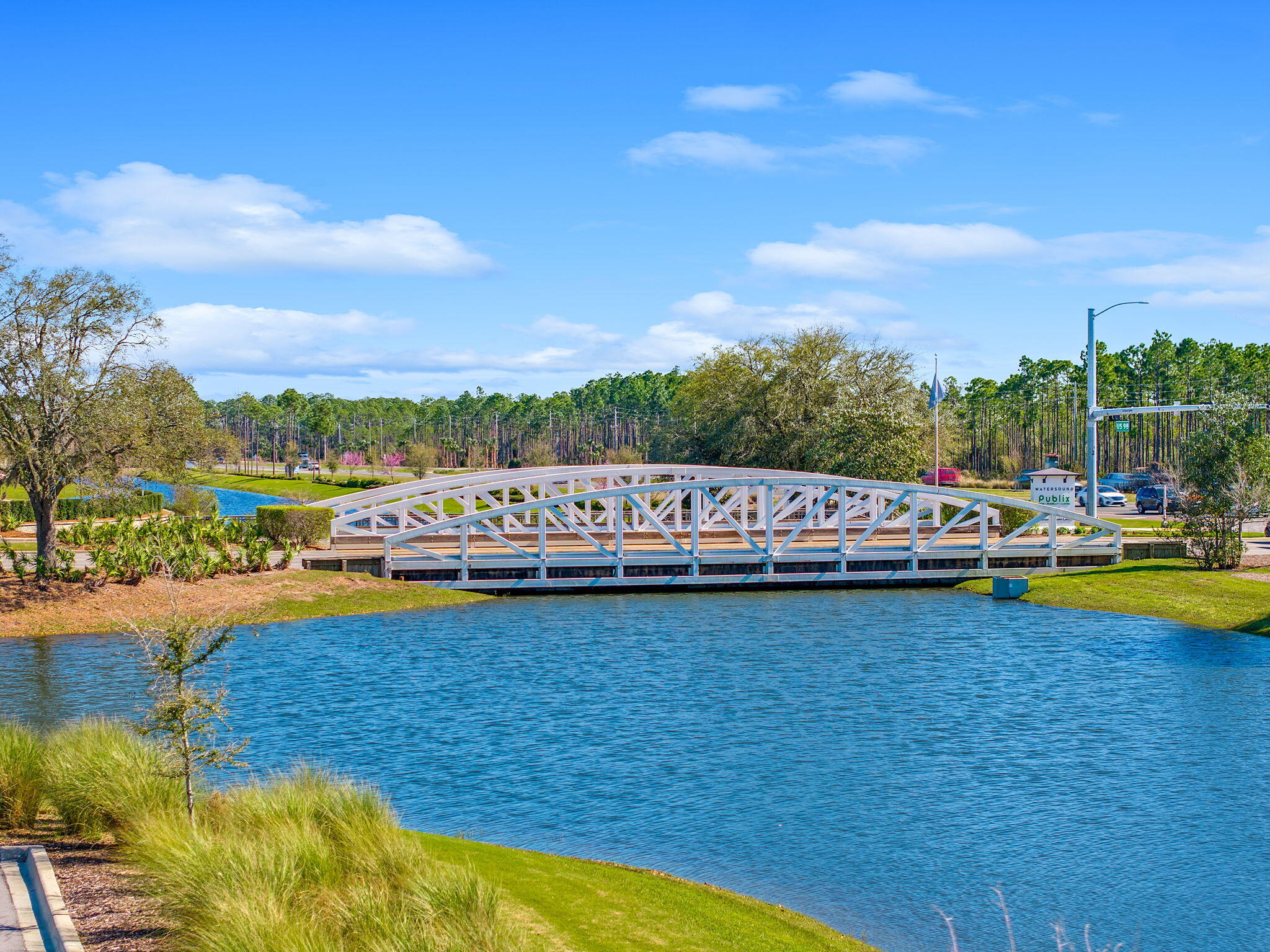 117 Roundwood Drive Inlet Beach FL 32461