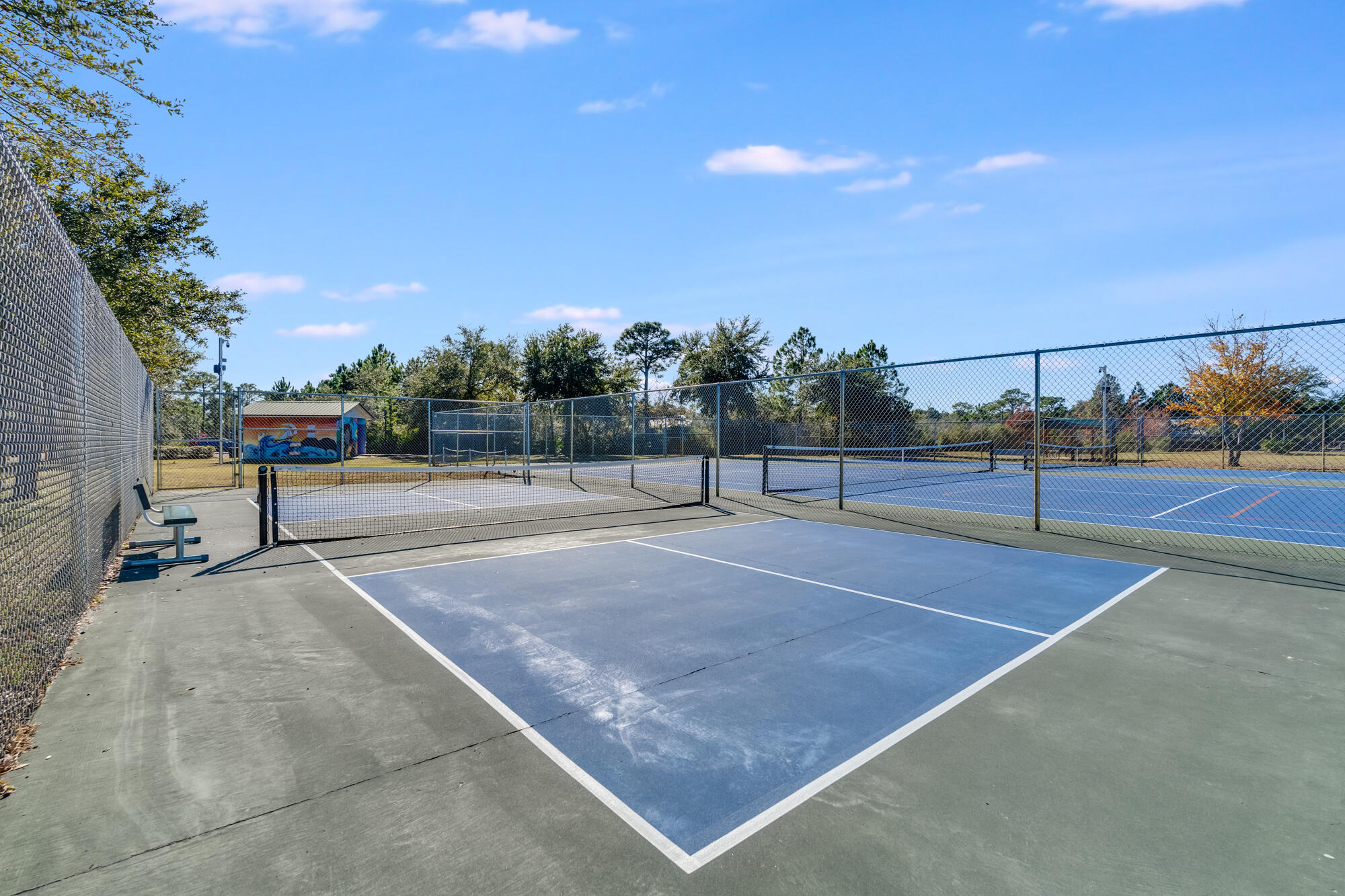 472 Cocobolo Drive Santa Rosa Beach FL 32459
