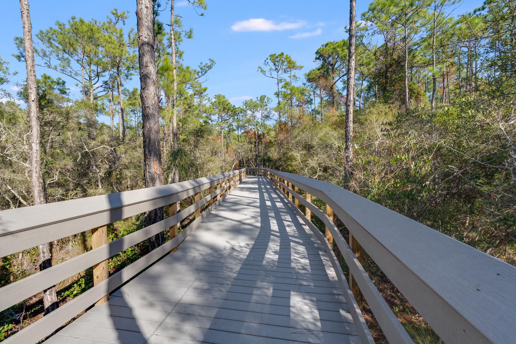472 Cocobolo Drive Santa Rosa Beach FL 32459