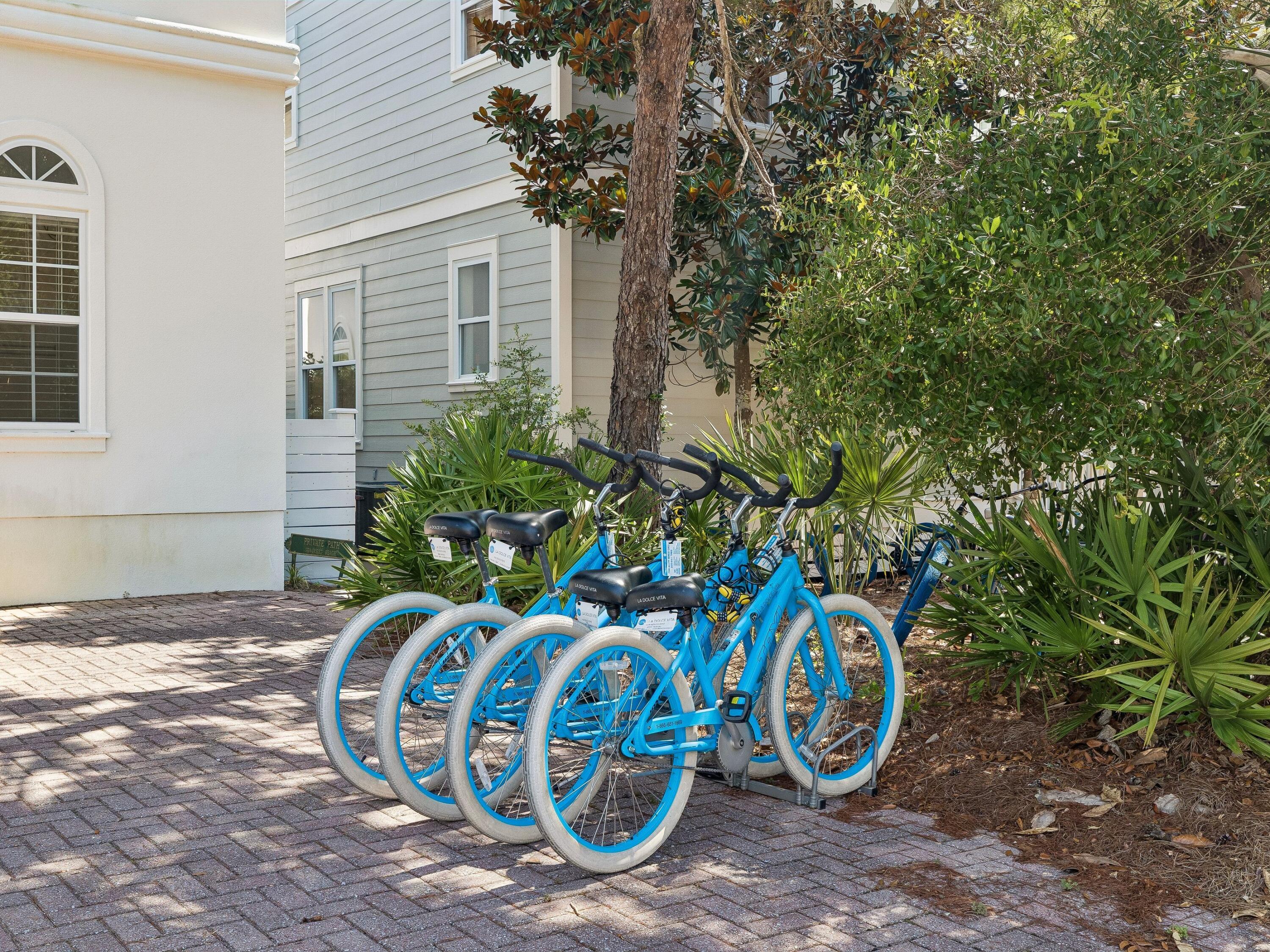 428 Beach Bike Way Seacrest FL 32461