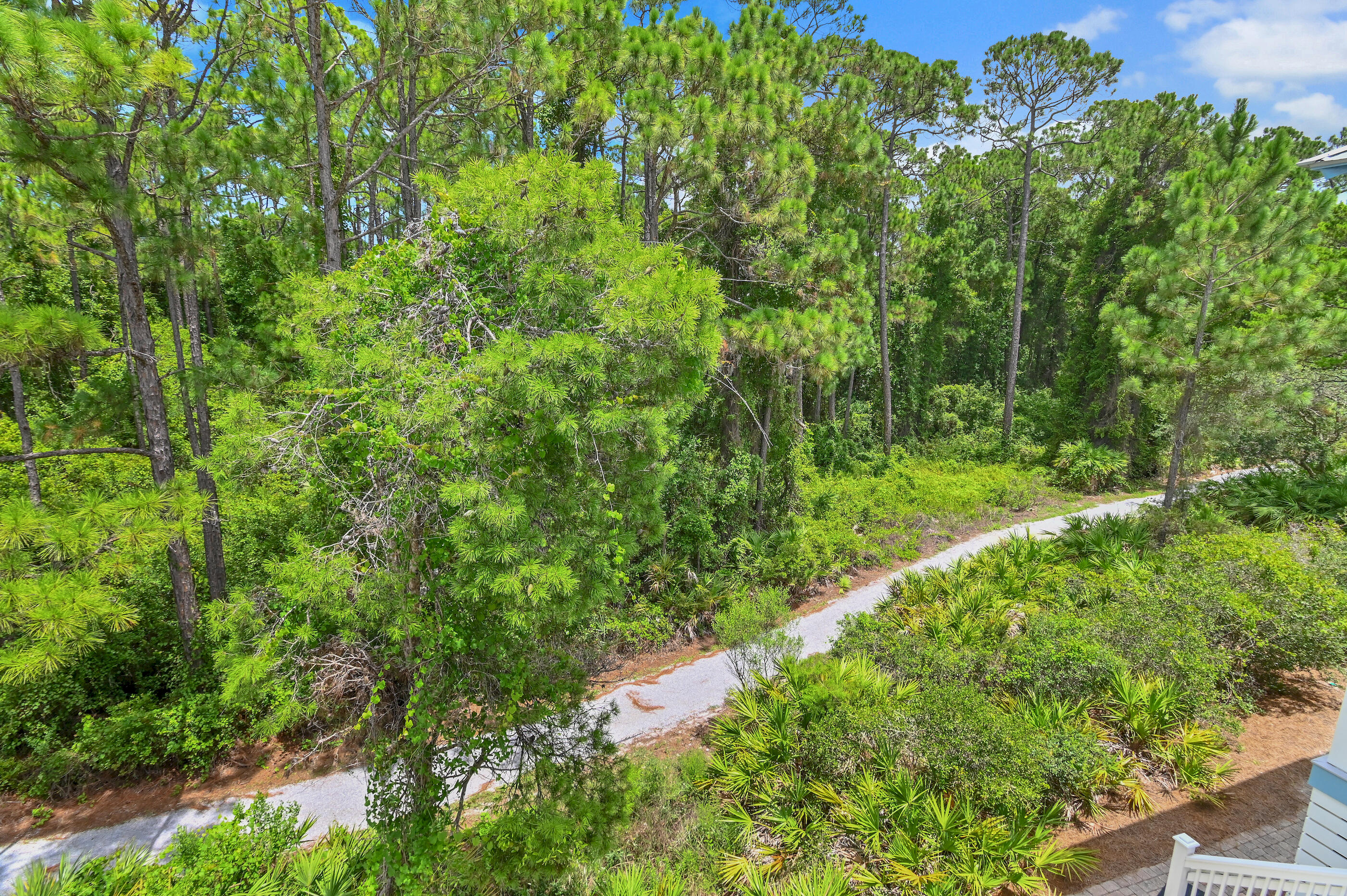 228 Beach Bike Way Inlet Beach FL 32461