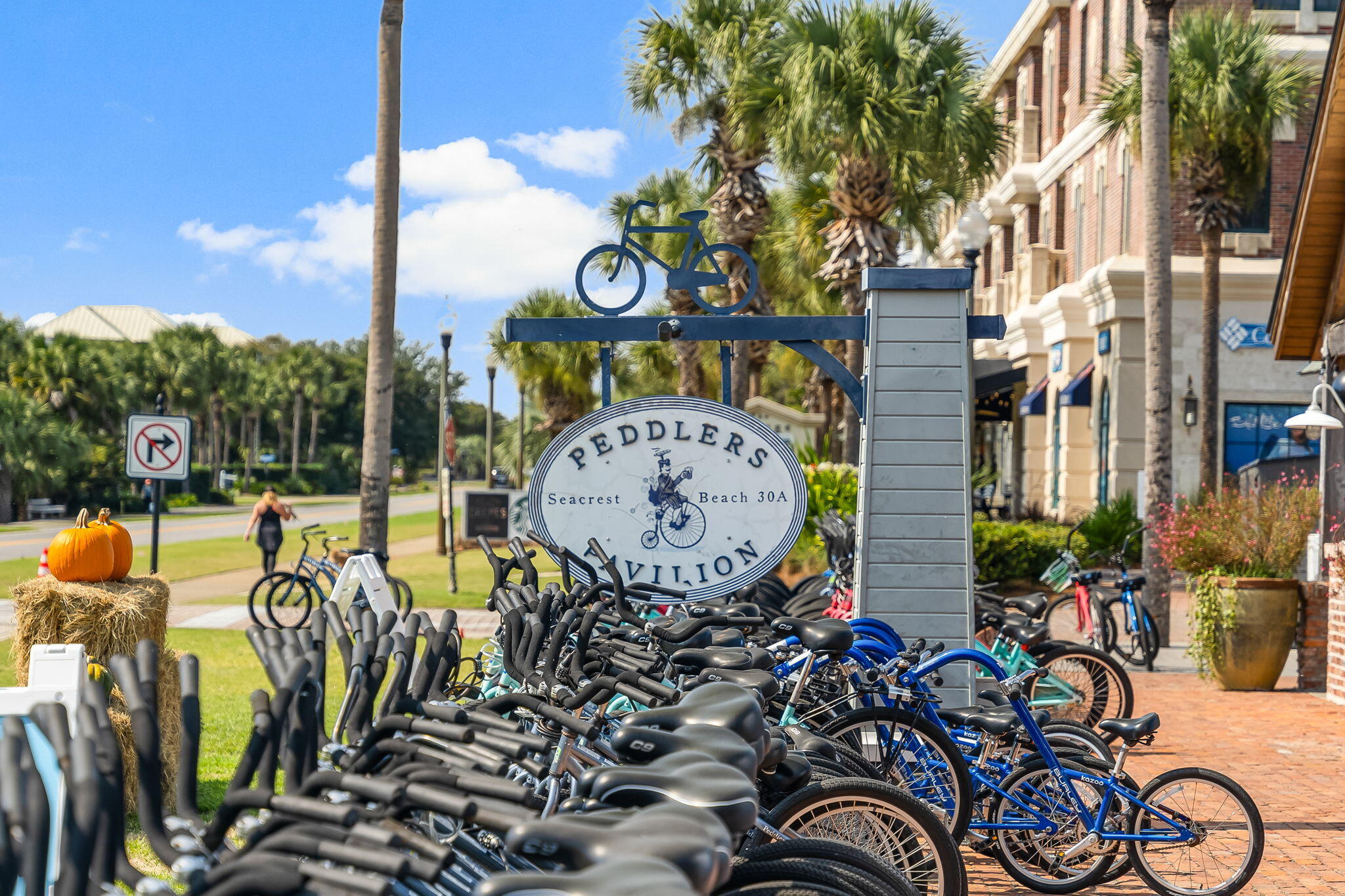 543 Seacrest Drive Inlet Beach FL 32461