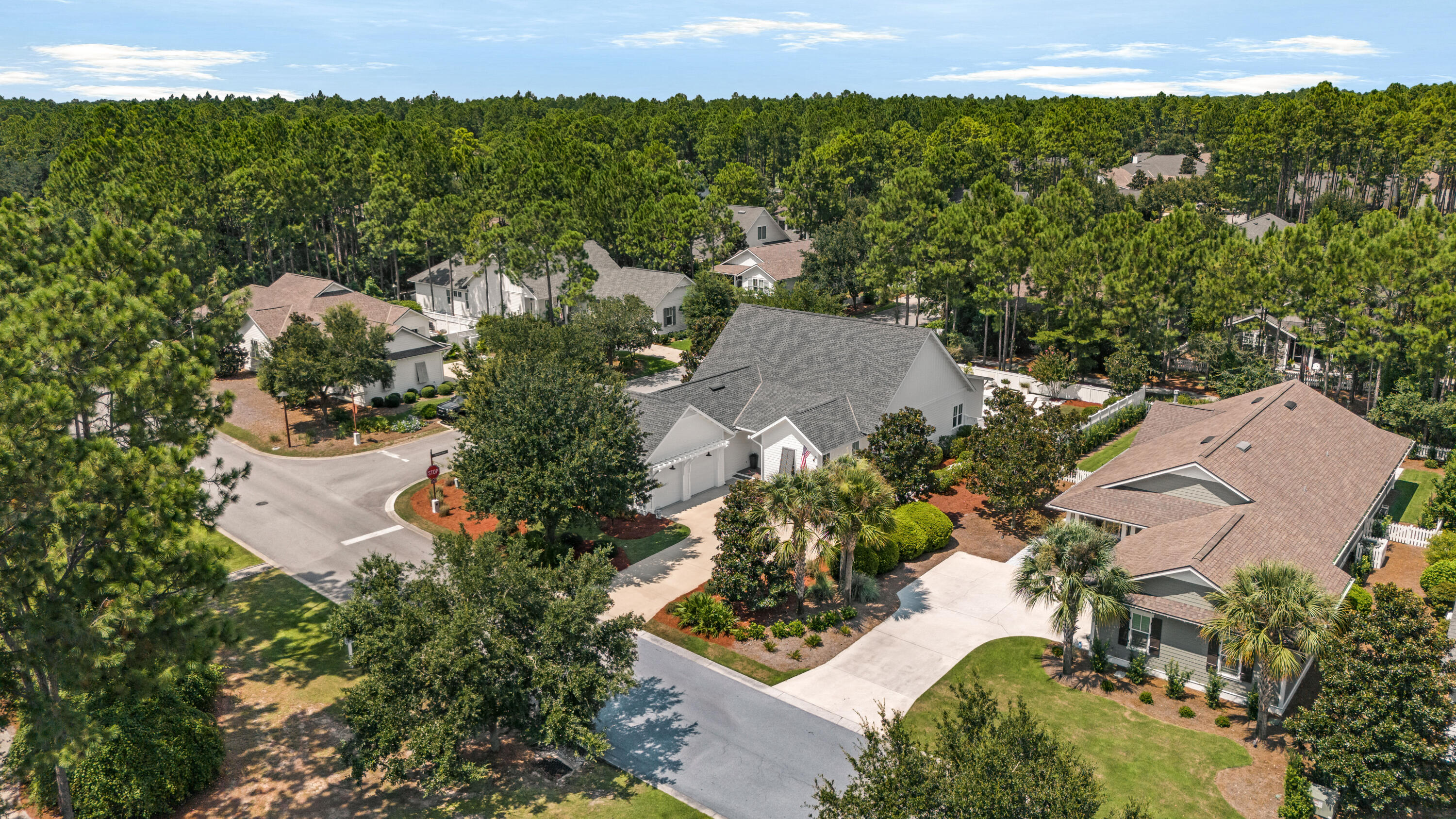 256 Medley Street Inlet Beach FL 32461