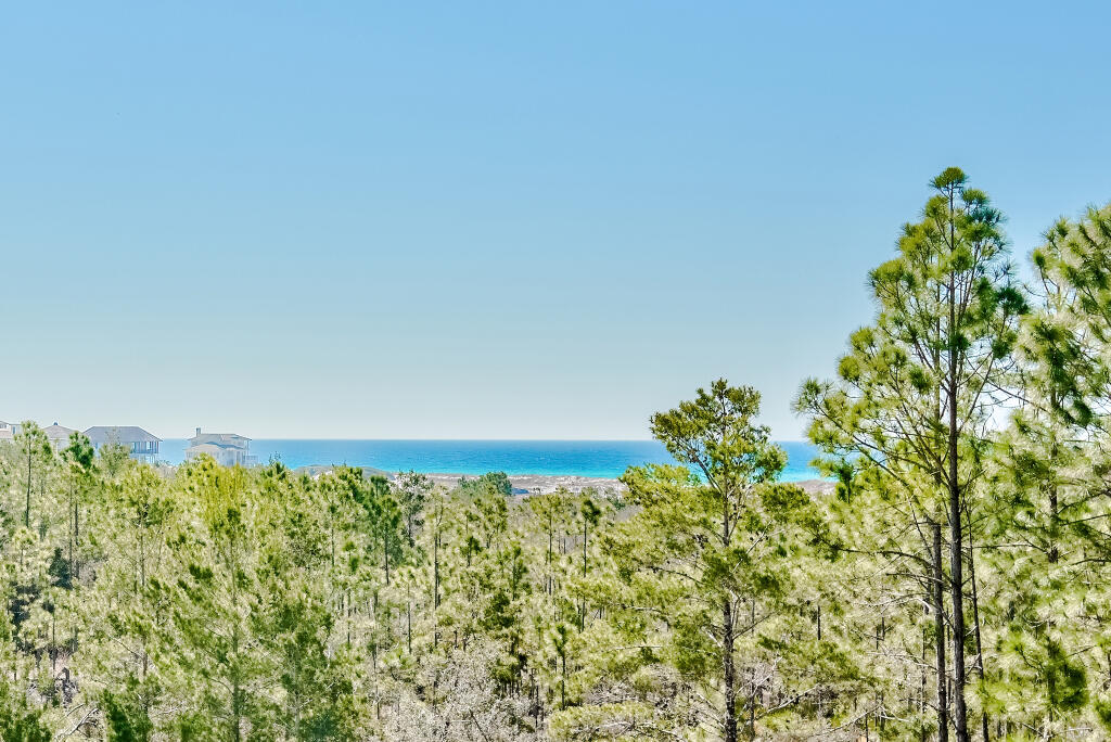 90 Sandstone Street Santa Rosa Beach FL 32459