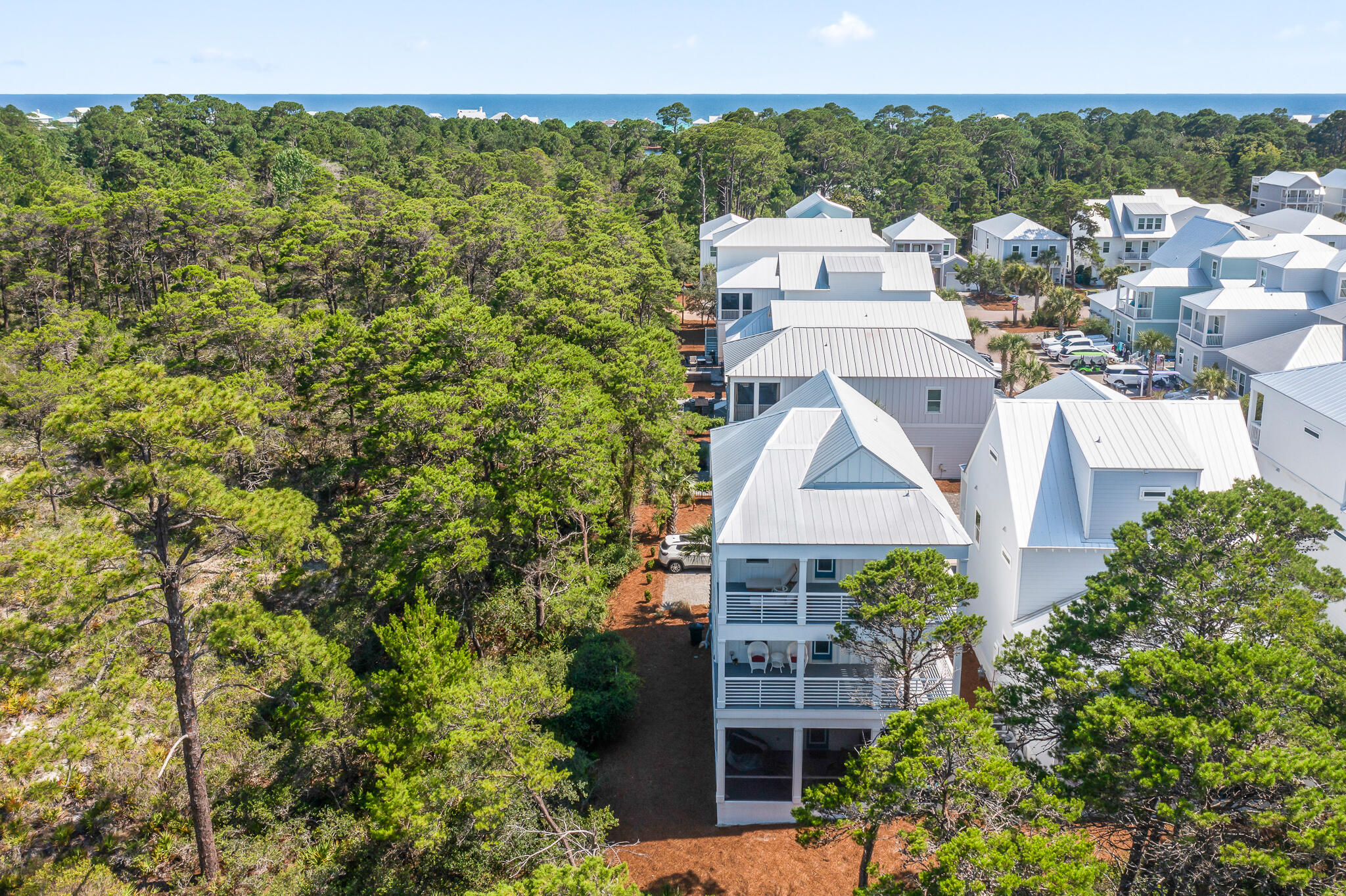 59 Conscience Way Santa Rosa Beach FL 32459
