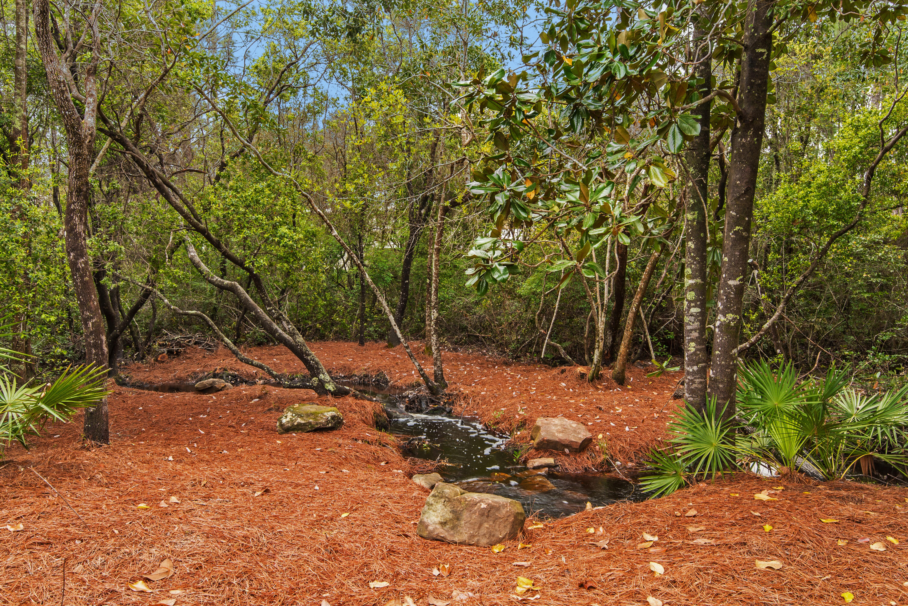 485 Wood Beach Drive Santa Rosa Beach FL 32459